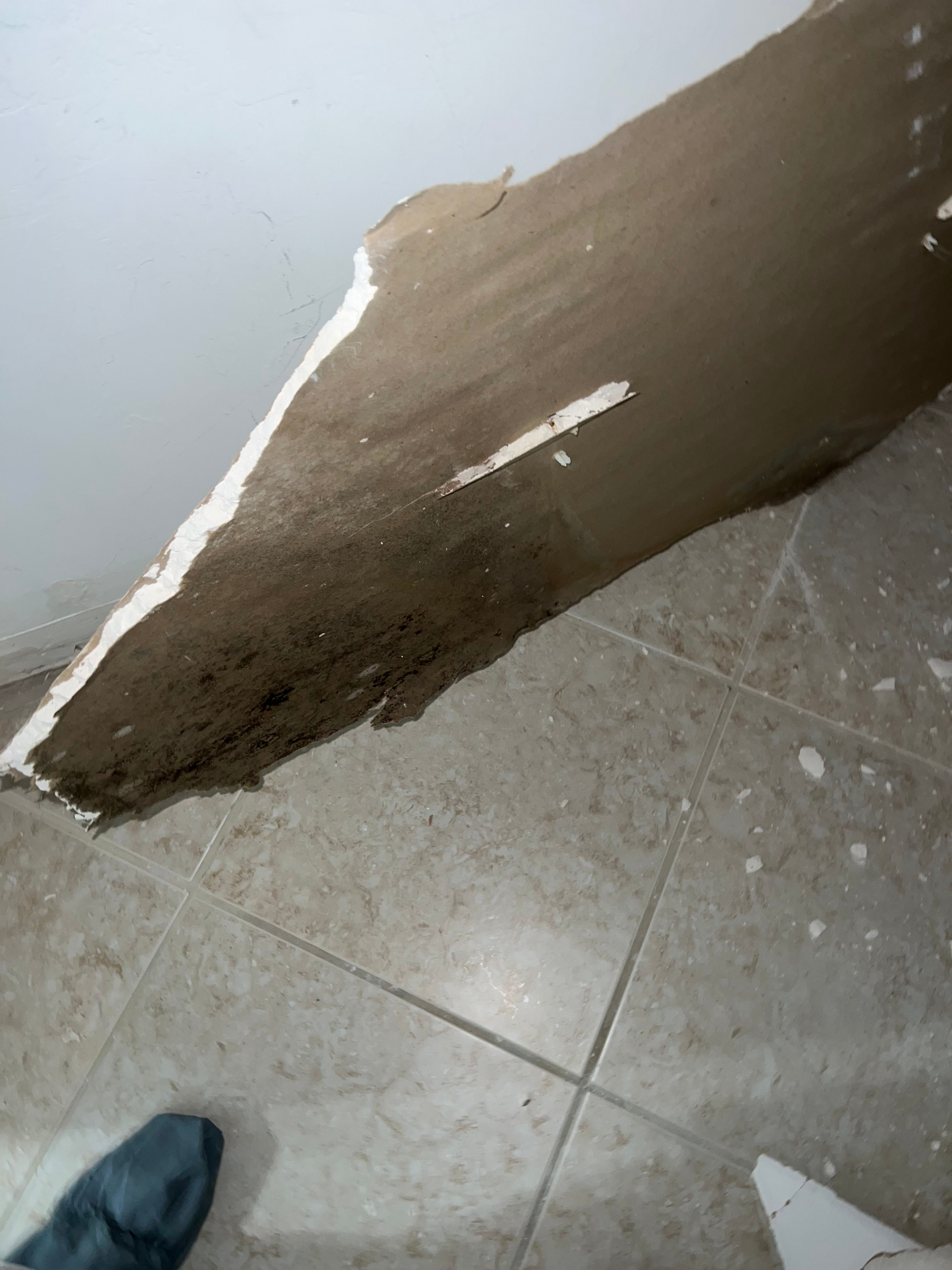  for N&D Restoration Services When Disaster Strikes, We Come In in Cape Coral,  FL
