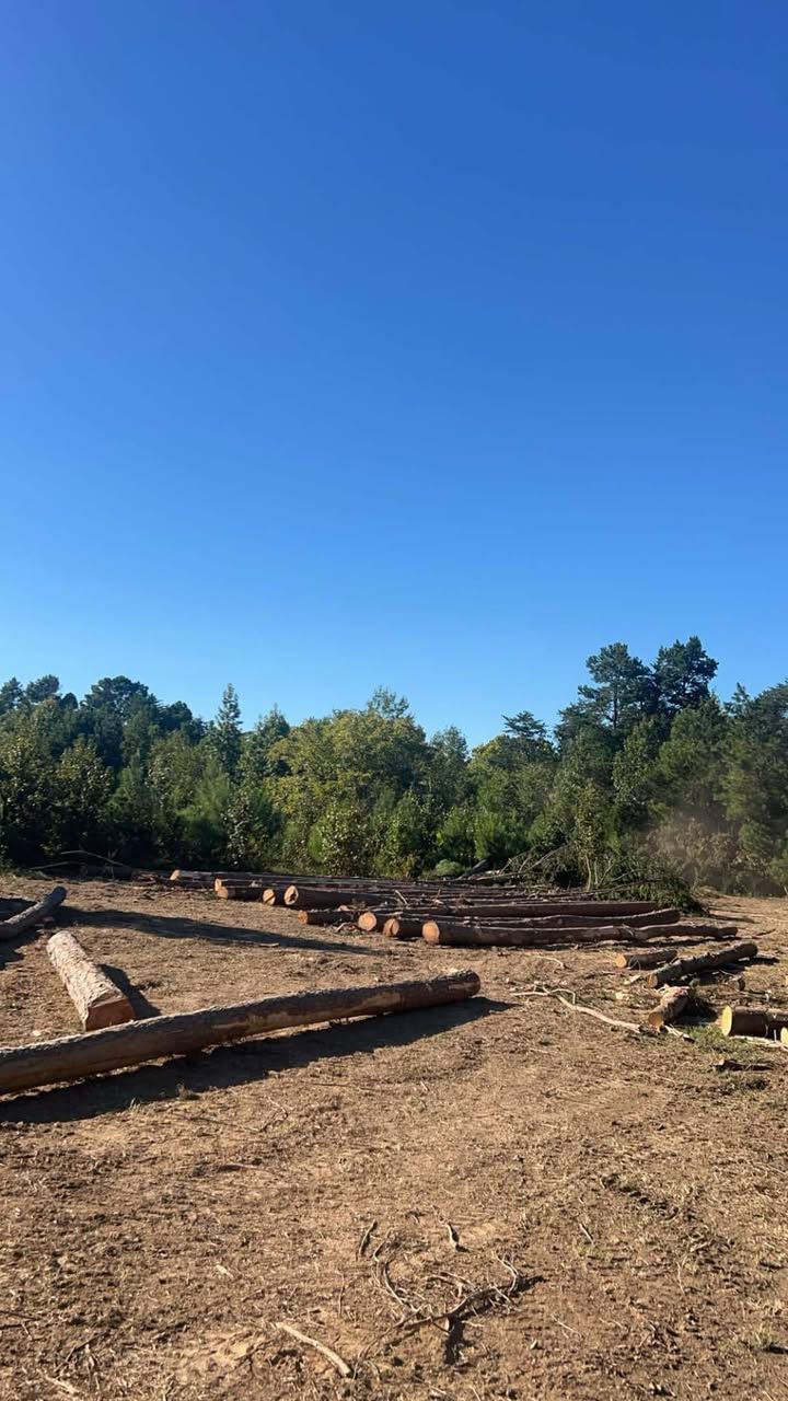  for 9 Oaks Tree Service and Excavation in Drakes Branch, VA