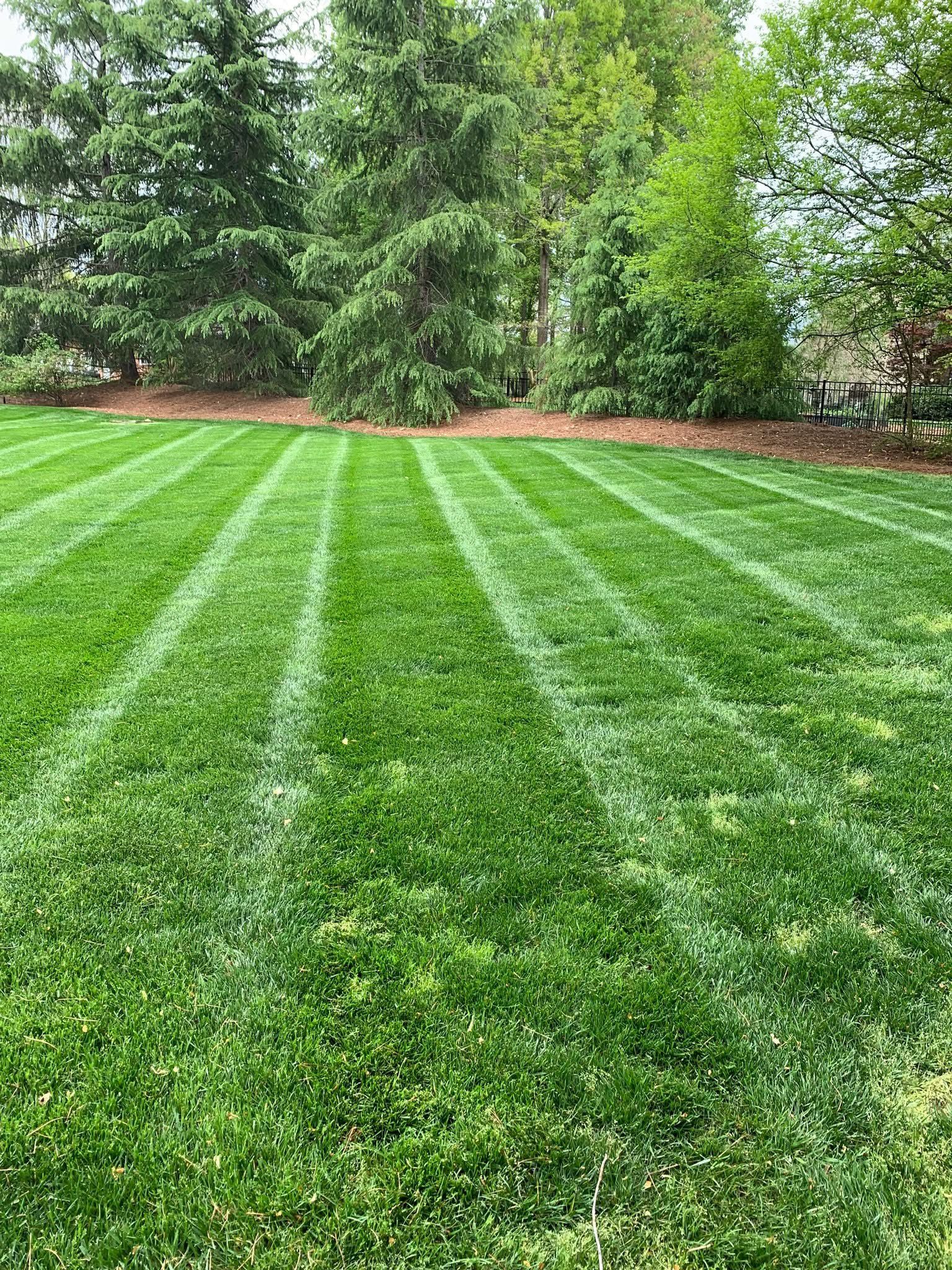  for Zotelo’s Lawncare LLC in Winston-Salem, NC