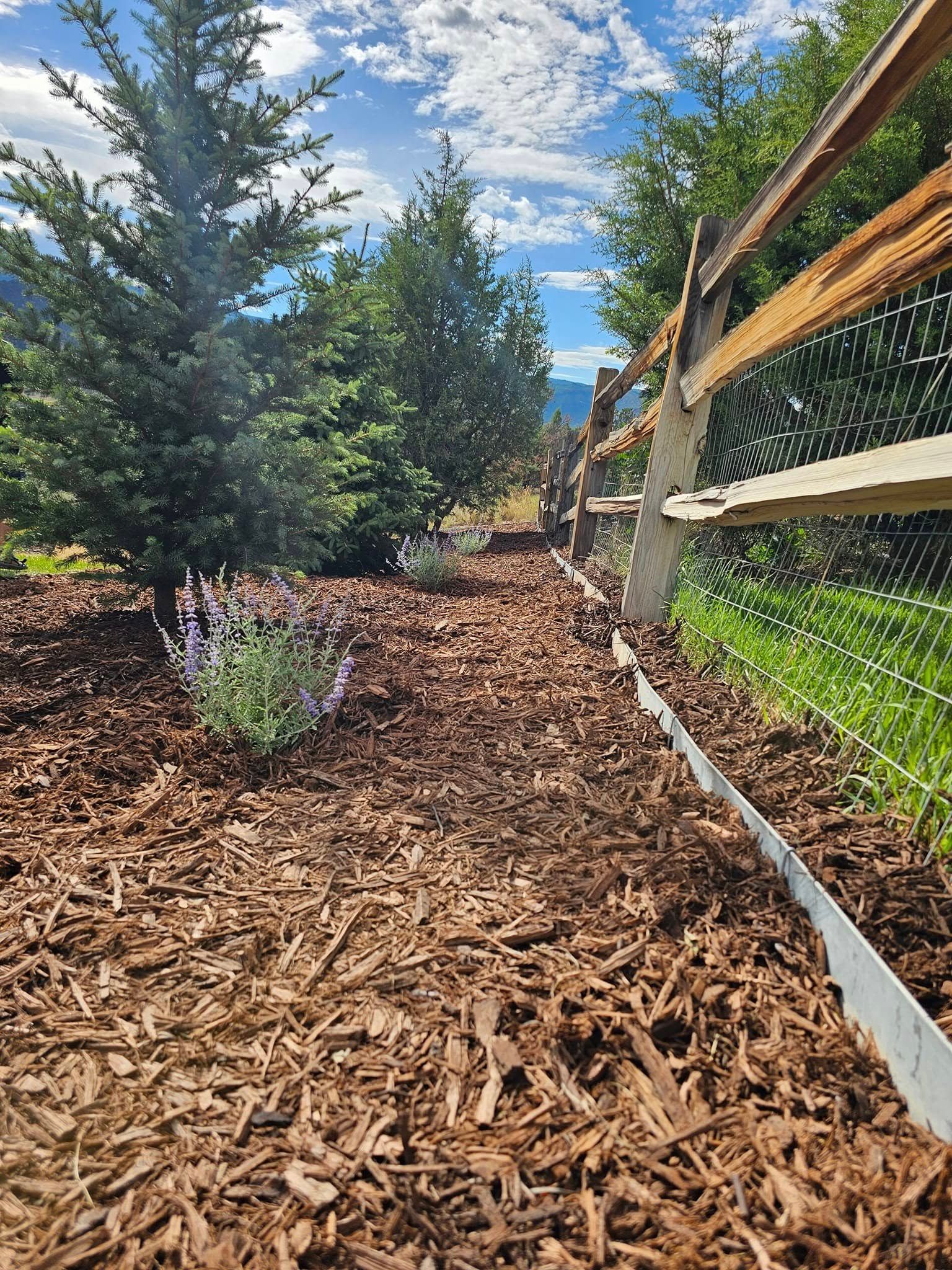 All Photos for LRS: Landscape, Rescue, Snow in Silt, CO
