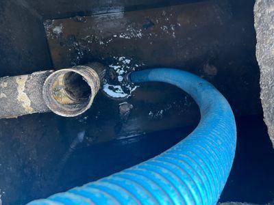  for Reliable Septic Tank Services in Marion County, FL in Reddick, FL