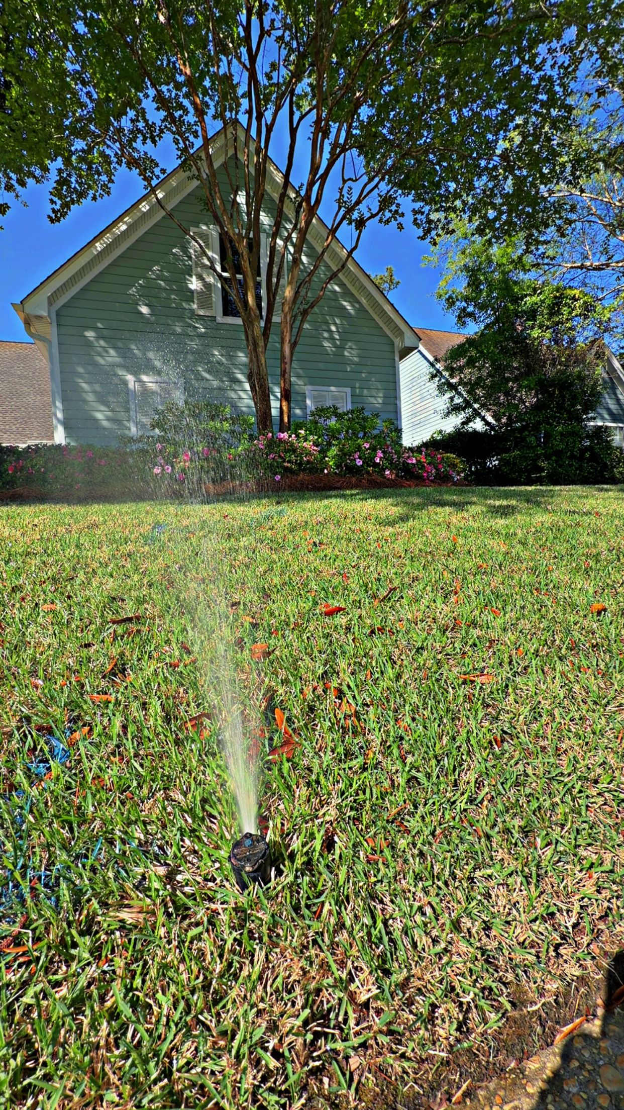  for Enhanced Landscape in Daphne, AL