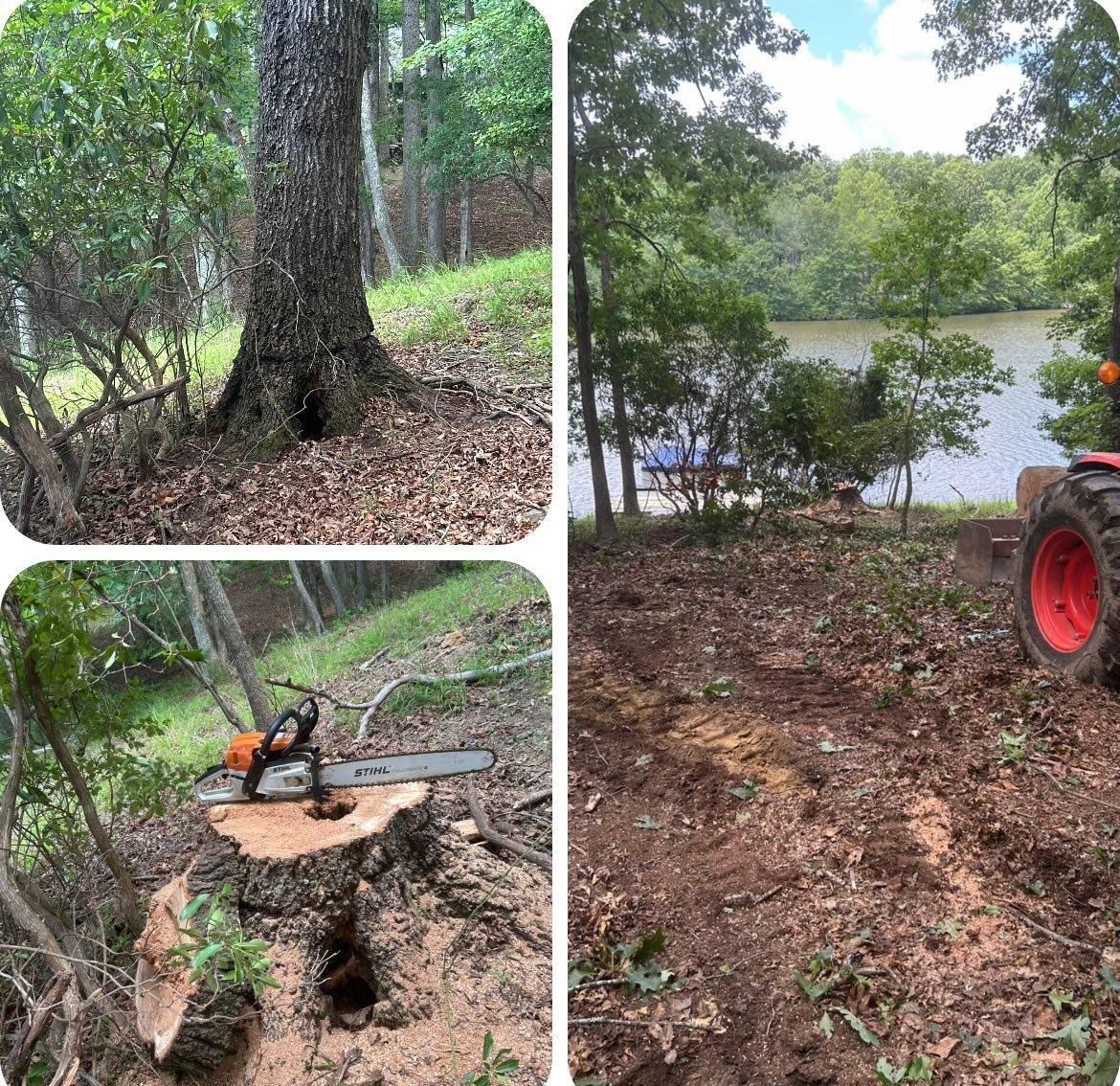  for McBee’s Tree Service in Sewanee, TN