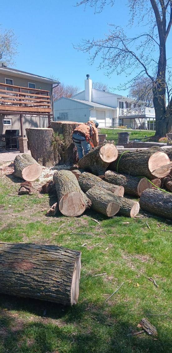  for Lawn Ranger Yard And Tree Service in Ottumwa, IA