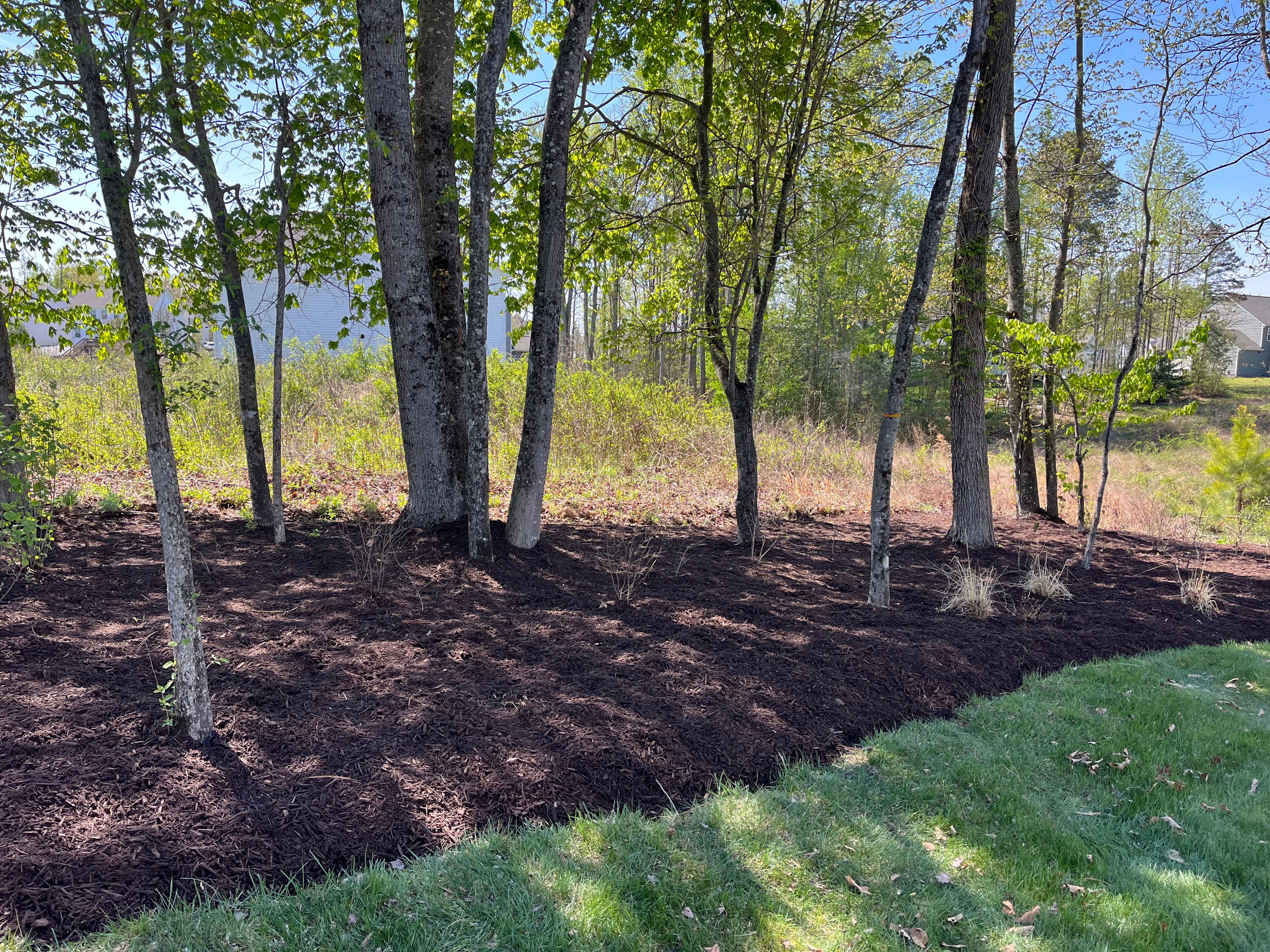  for Atlas Home Services in Mechanicsville, VA