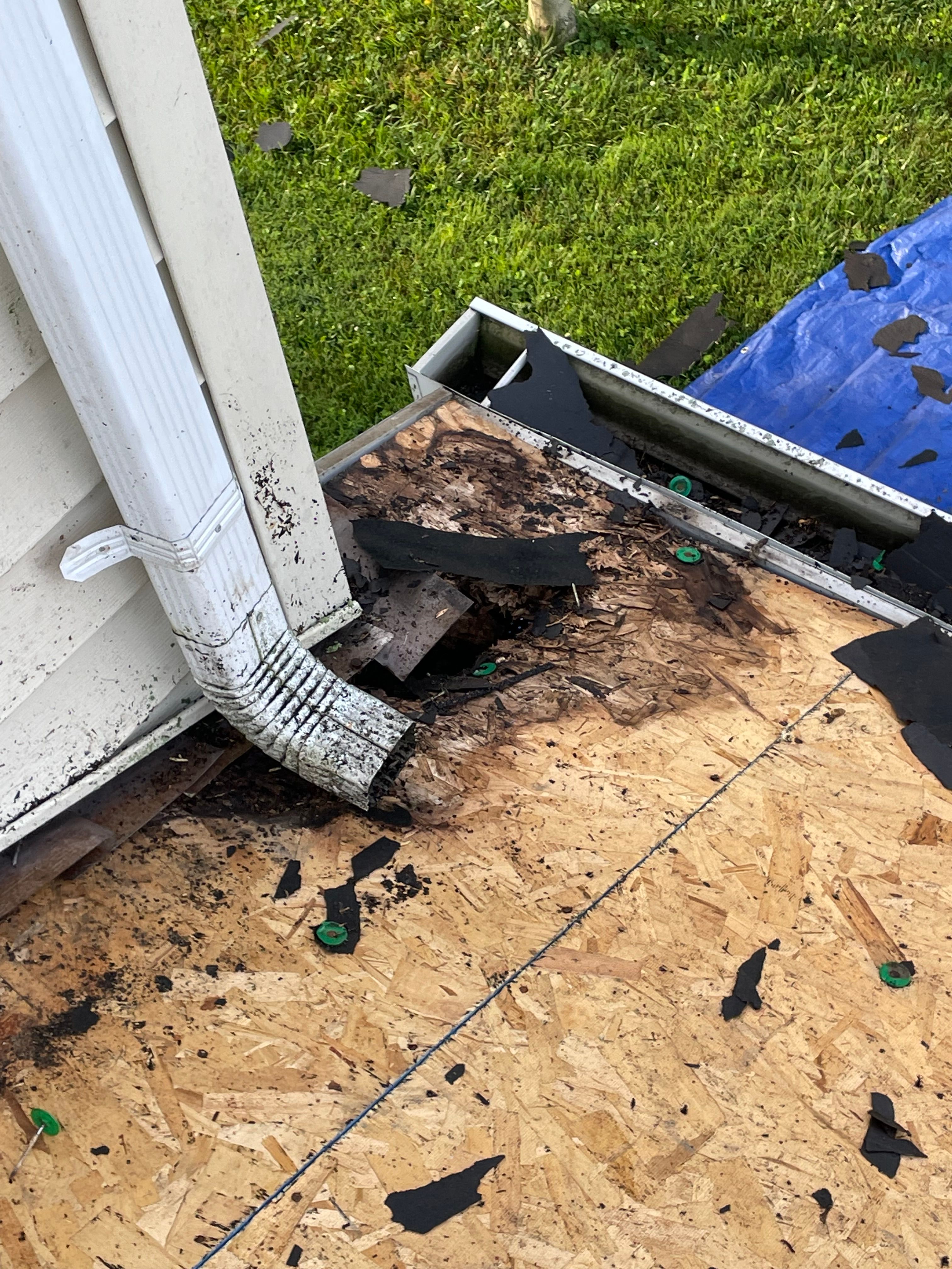  for Precious Roofing in Madeira, OH