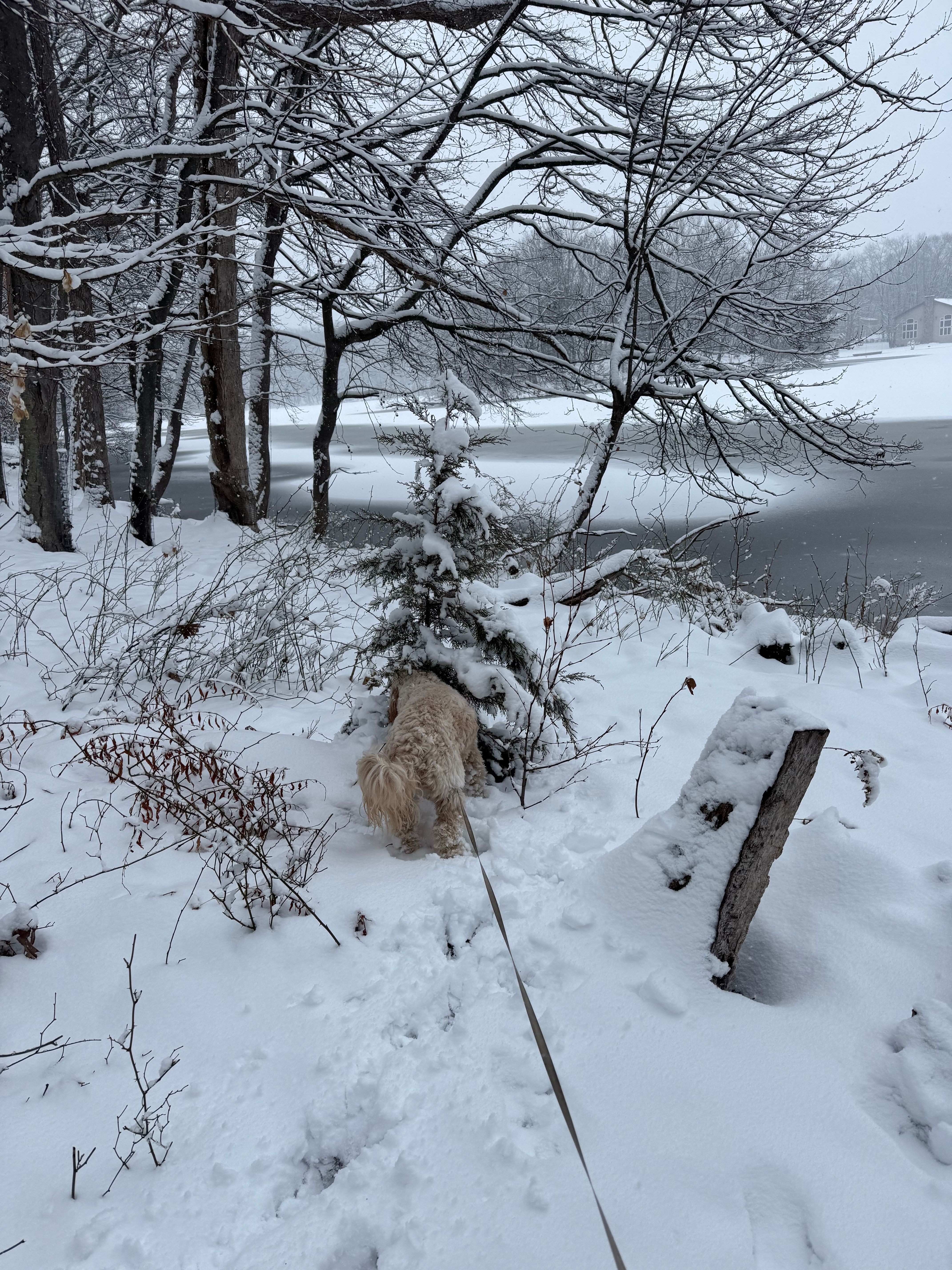 All Photos for Hanlon Electric in Denville, NJ