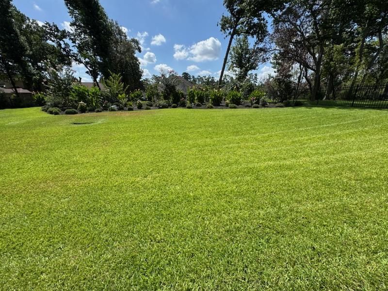 All Photos for Loredo's Landscaping in New Caney, TX