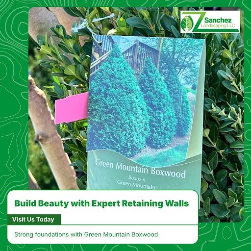  for Sanchez Z. Landscaping in Memphis, TN