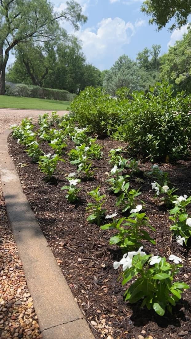 Irrigation Installation for Platinum Landscape Design LLC in San Angelo, Texas