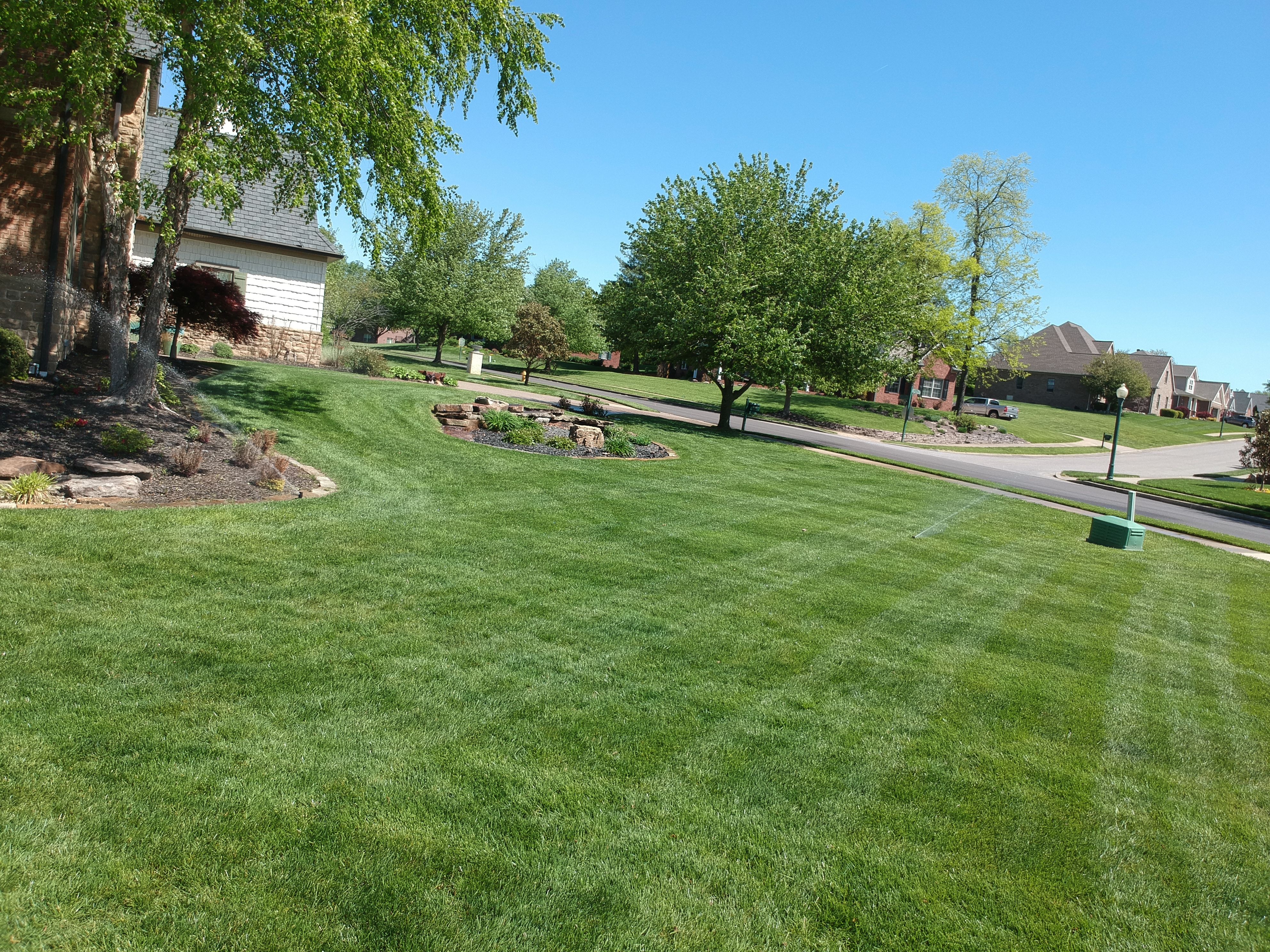  for The Grass Guys™ in Evansville, IN