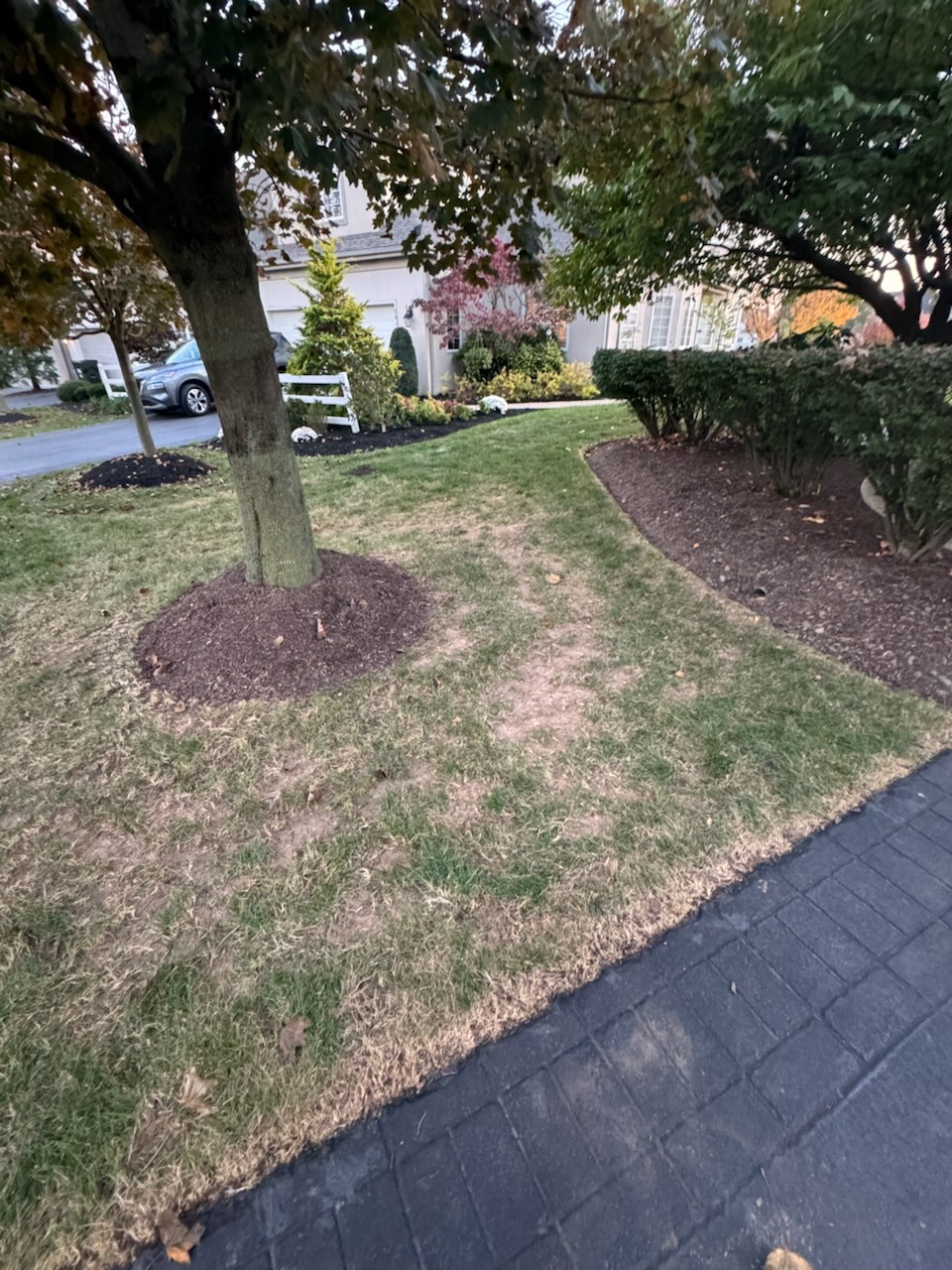 All Photos for Landscape & Lawn Care Pros in Reading, PA