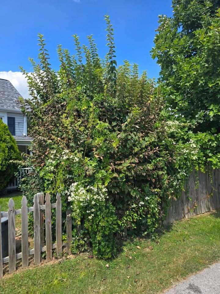  for CLH Services in White Marsh, MD