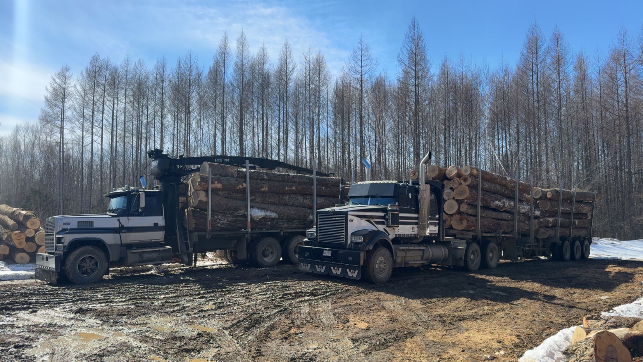  for Gardner Road Company in Winn, ME