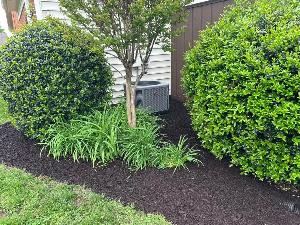 All Photos for MLC in Murfreesboro, TN
