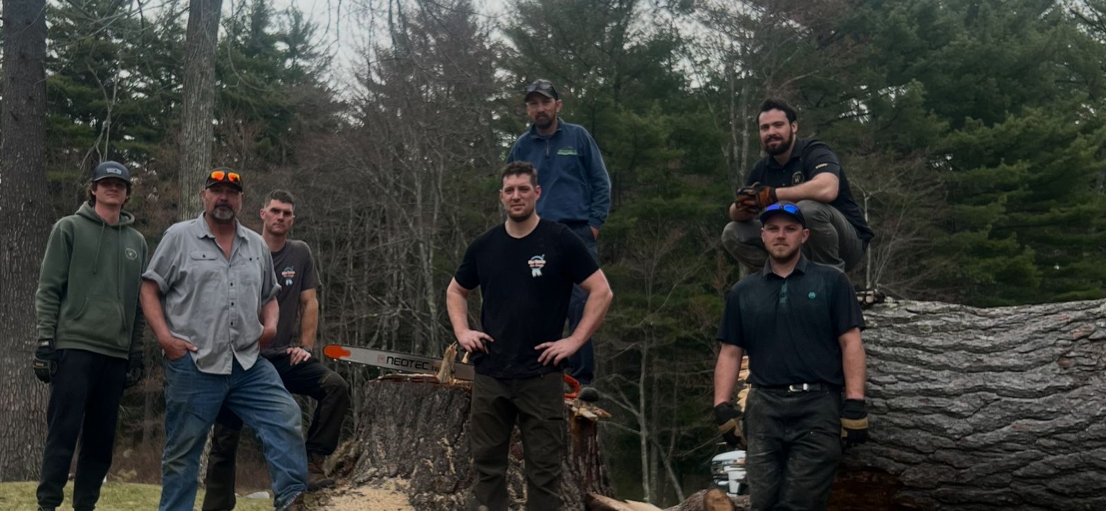  for Blue Ribbon Tree Service in Gilford, NH