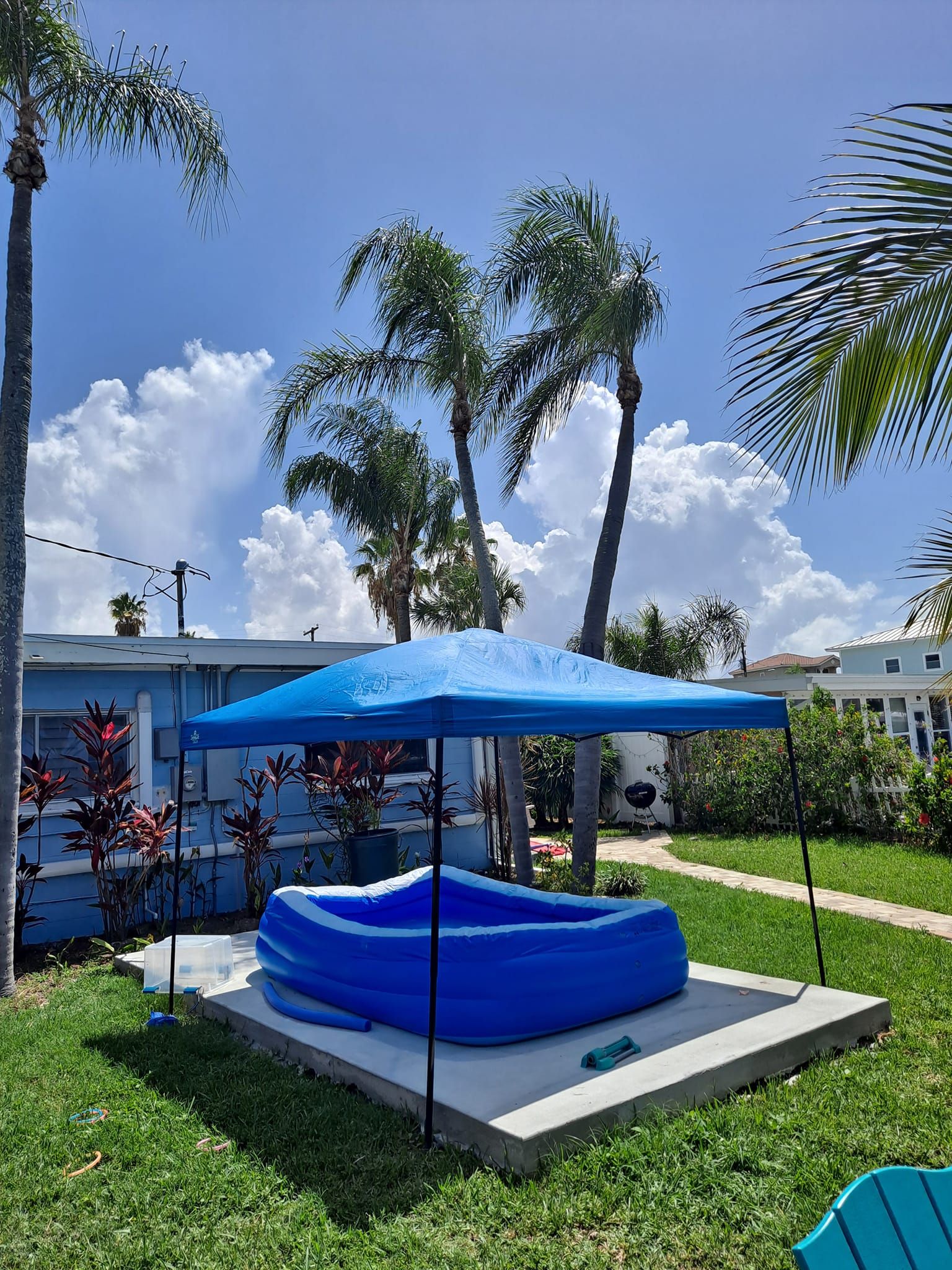 for Sanchez Tree Service in Largo, FL