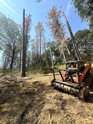 All Photos for Tyco Forest Management in Placerville, CA