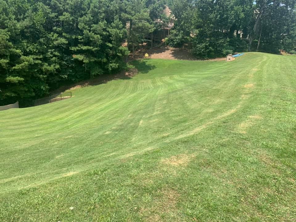 All Photos for Bega Landscape Services in Atlanta, Georgia
