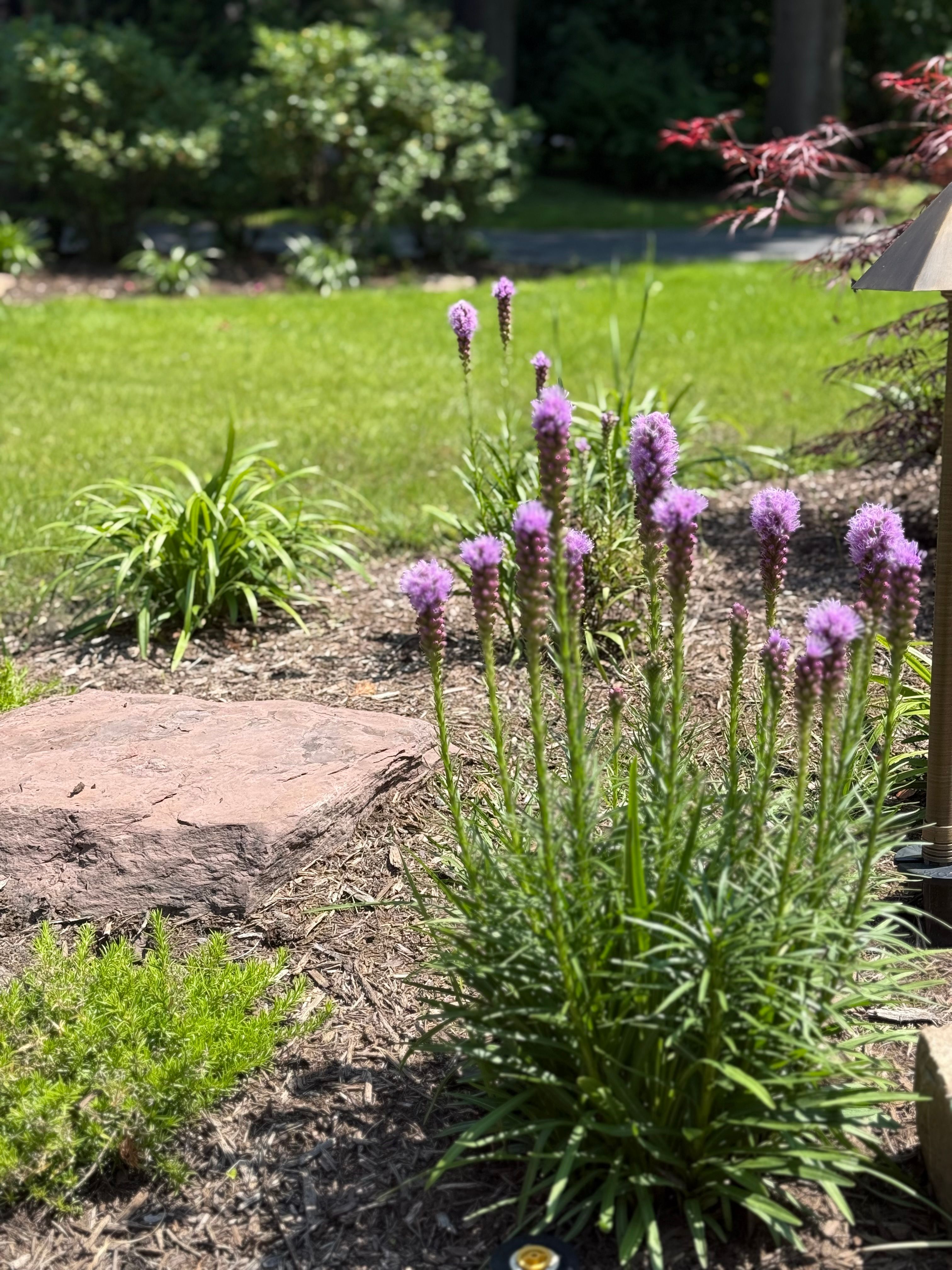 Softscaping for Hillside Landscape & Design in Chesterland, OH