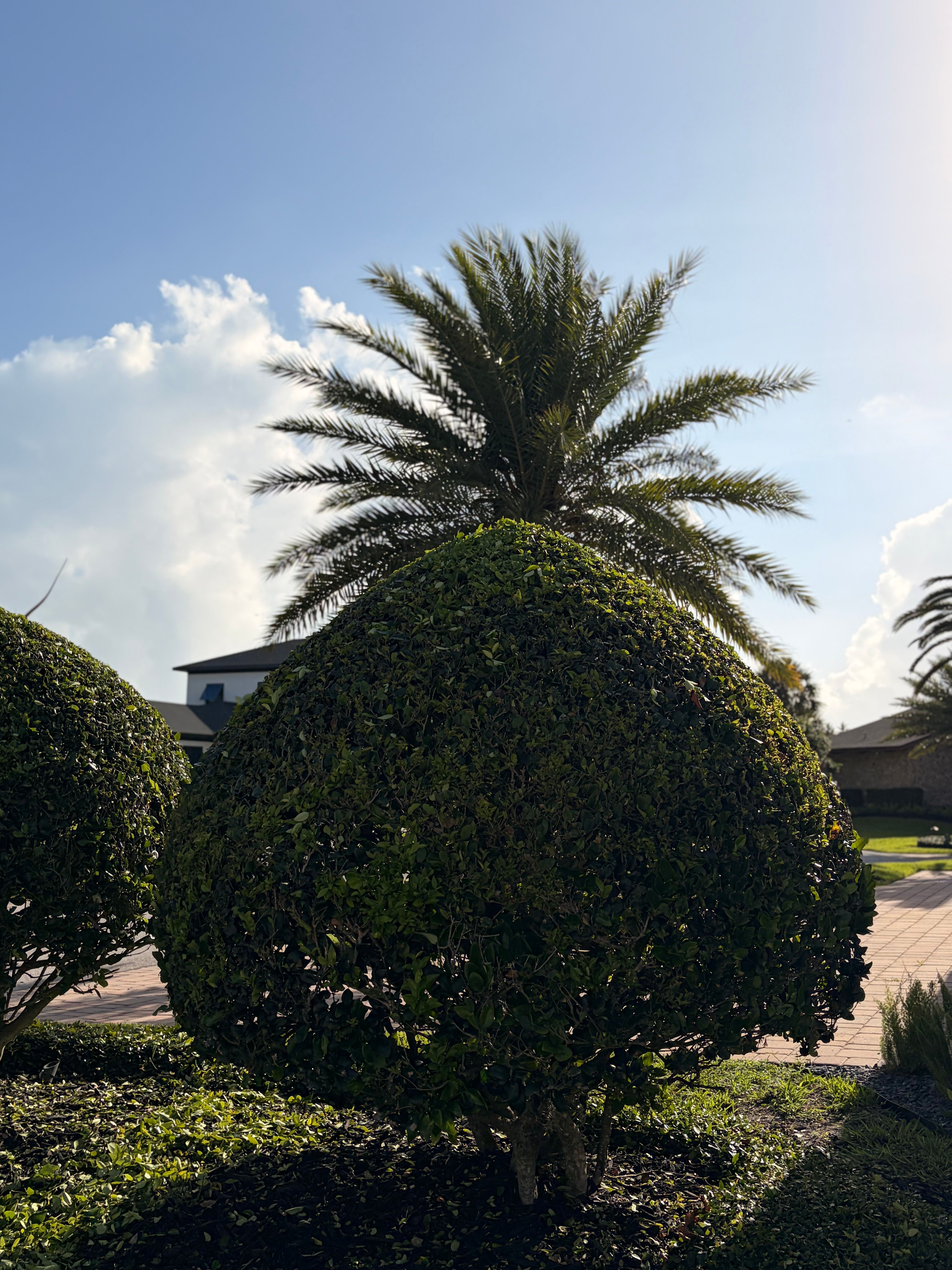  for Vanic's Landscaping in Port Orange, FL