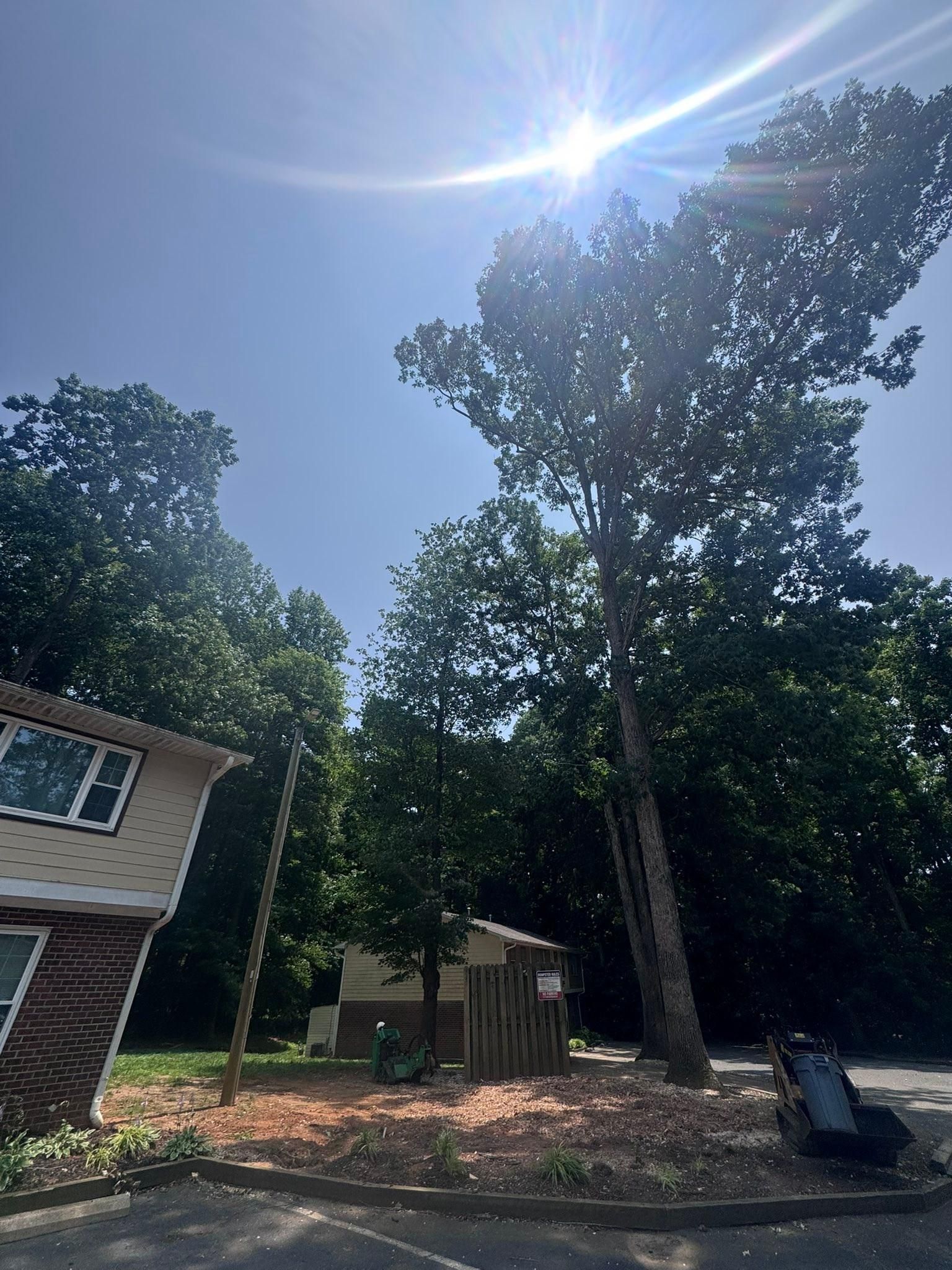 for Diversified Tree Company in Trinity, NC