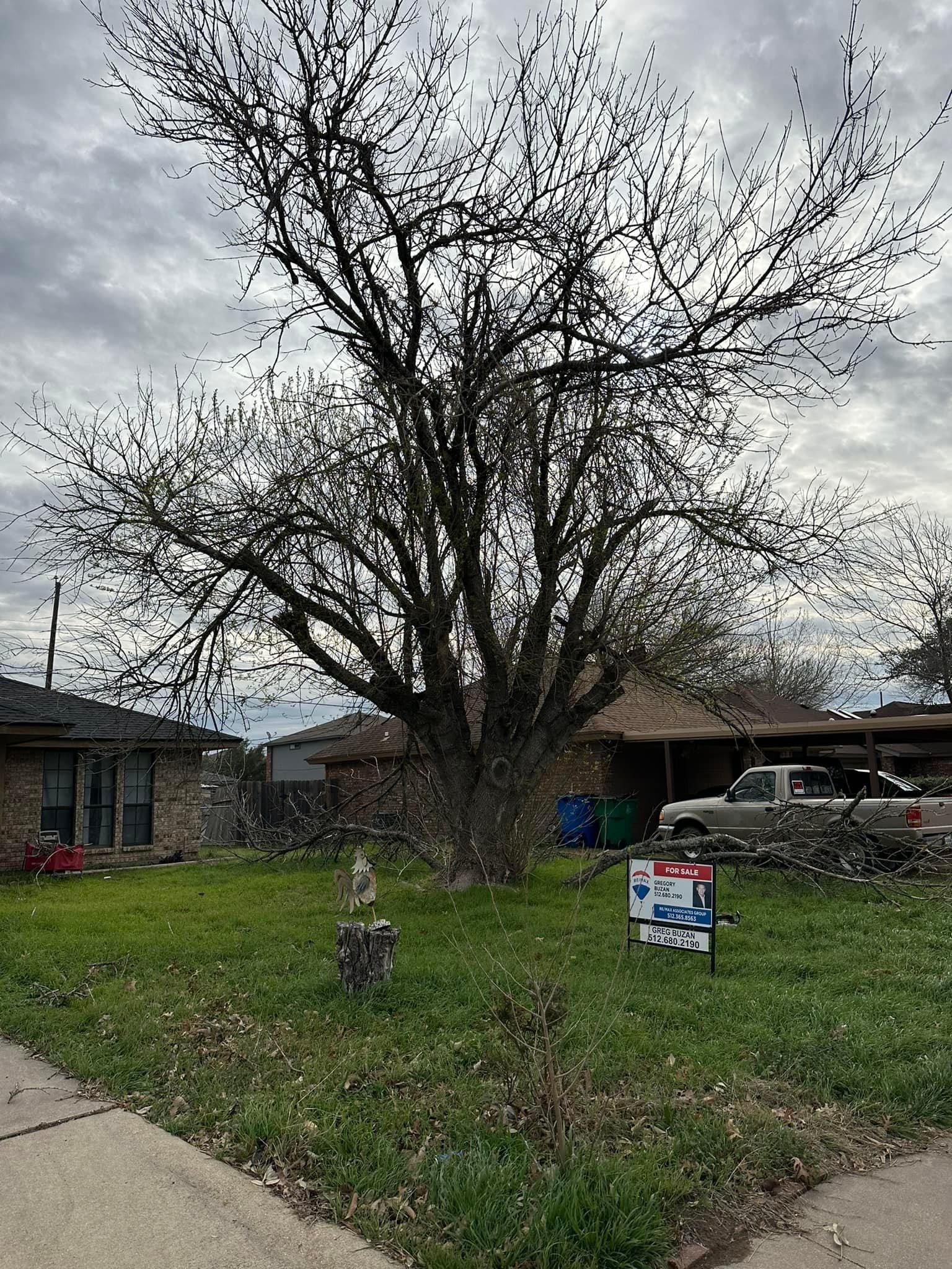 Mowing for Allen Lawn Care in Taylor, Texas