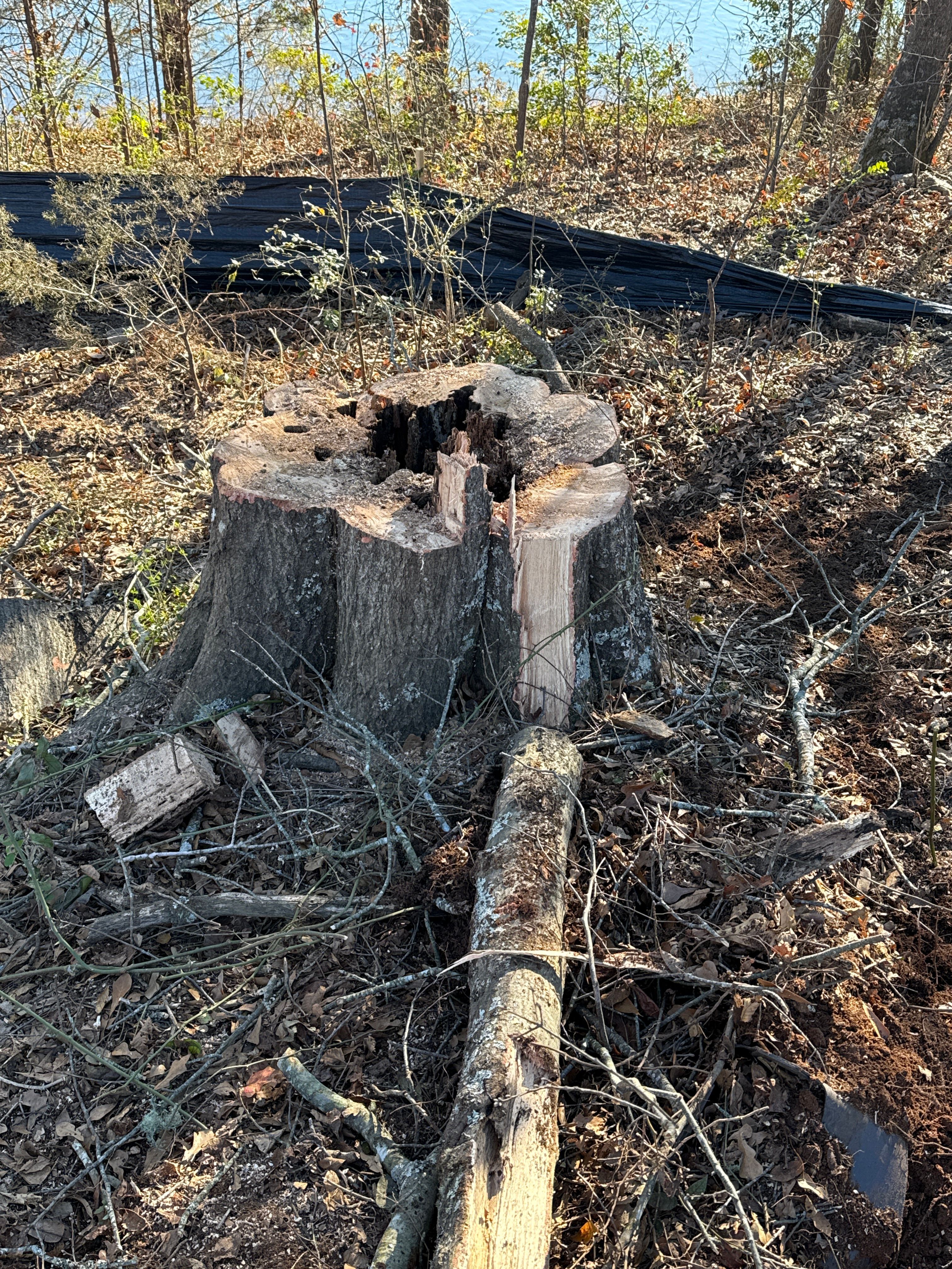  for Seay’s Septic in Inman, SC