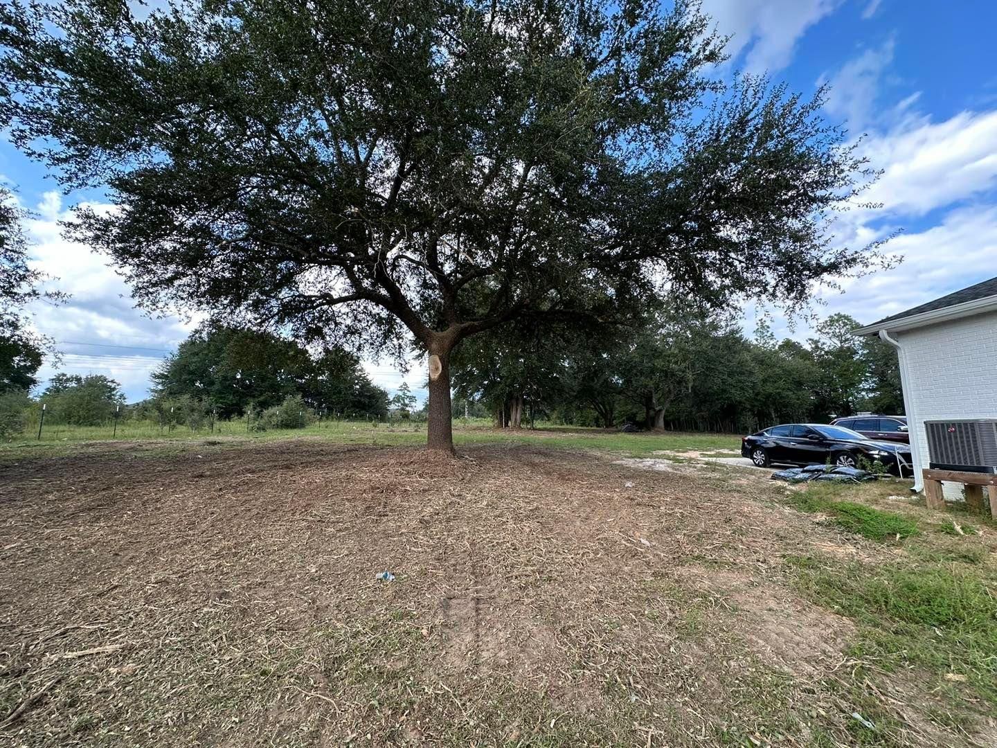  for White’s Land Maintenance in Milton,, FL