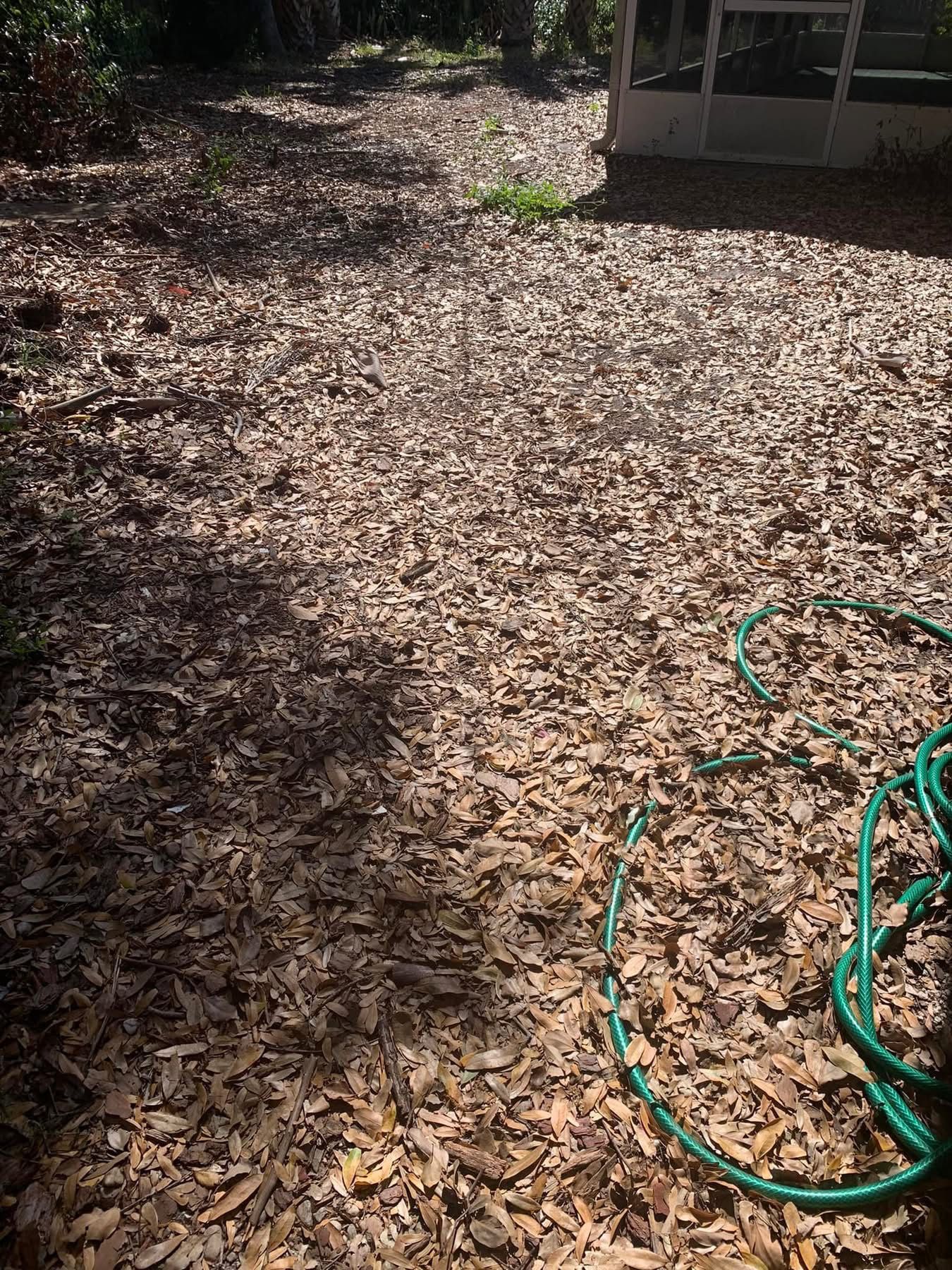  for Space Coast Property Maintenance and Management LLC in Melbourne, FL