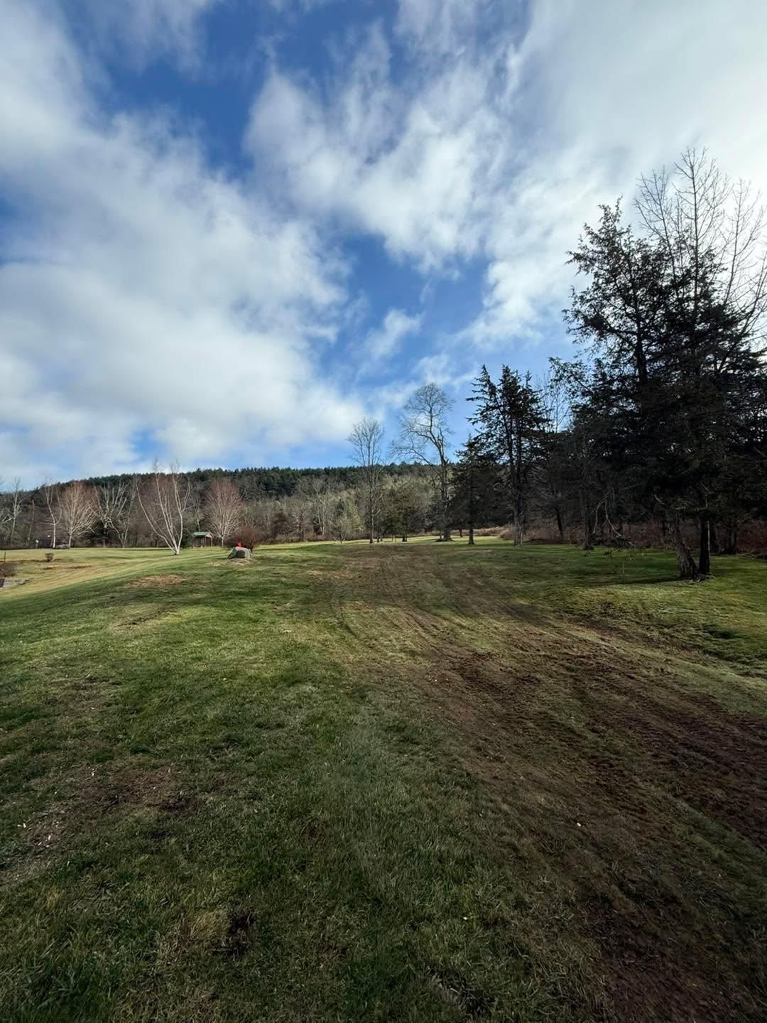  for Sterlings Tree Removal in Cobleskill, New York