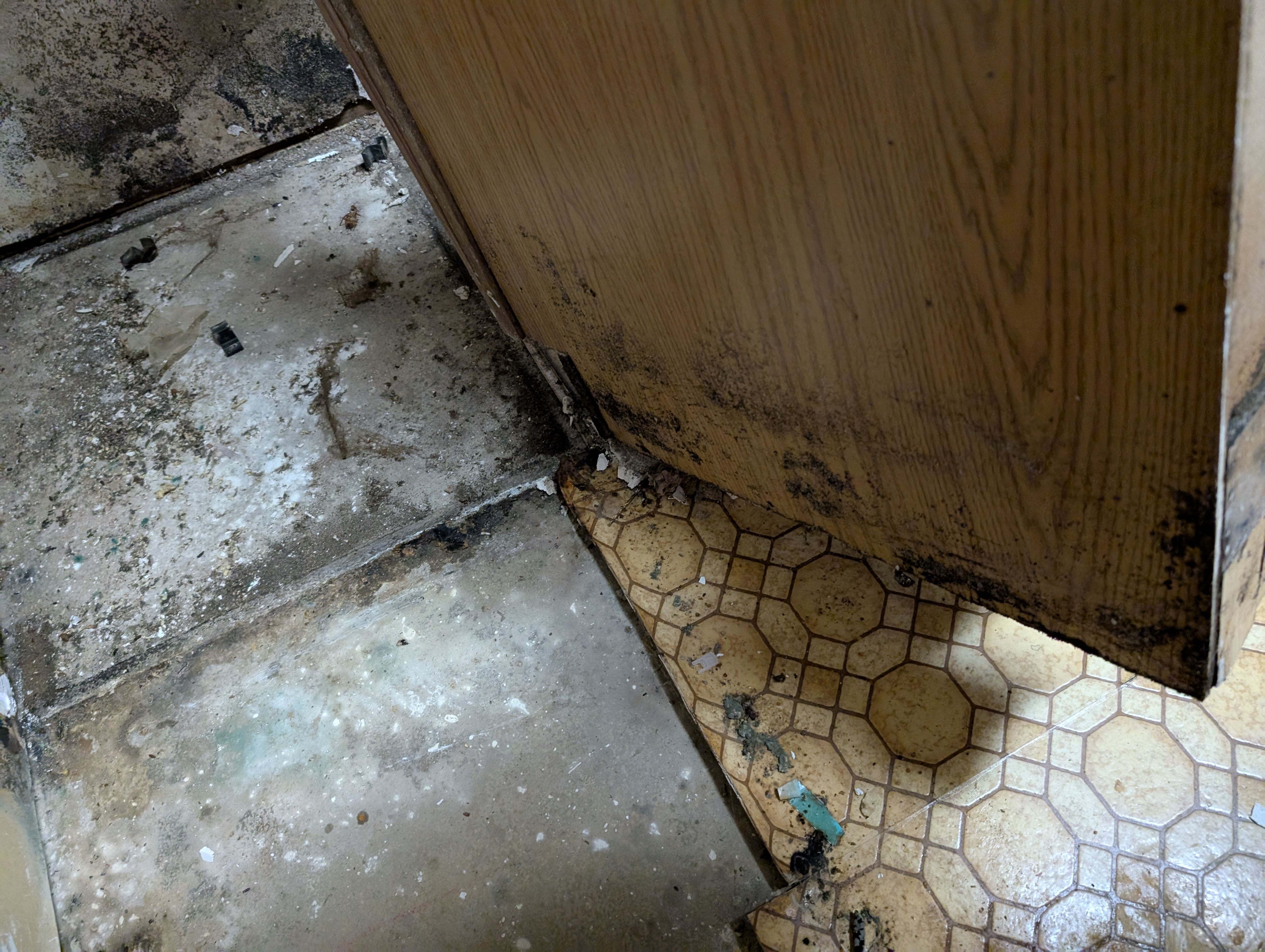 All Photos for Best Option Restoration of Denton in Denton, TX