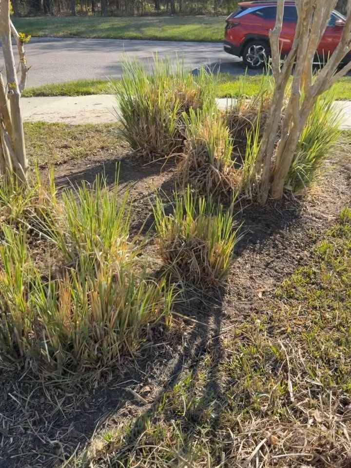  for Whole 9 Yards Services LLC in Green Cove Springs, FL