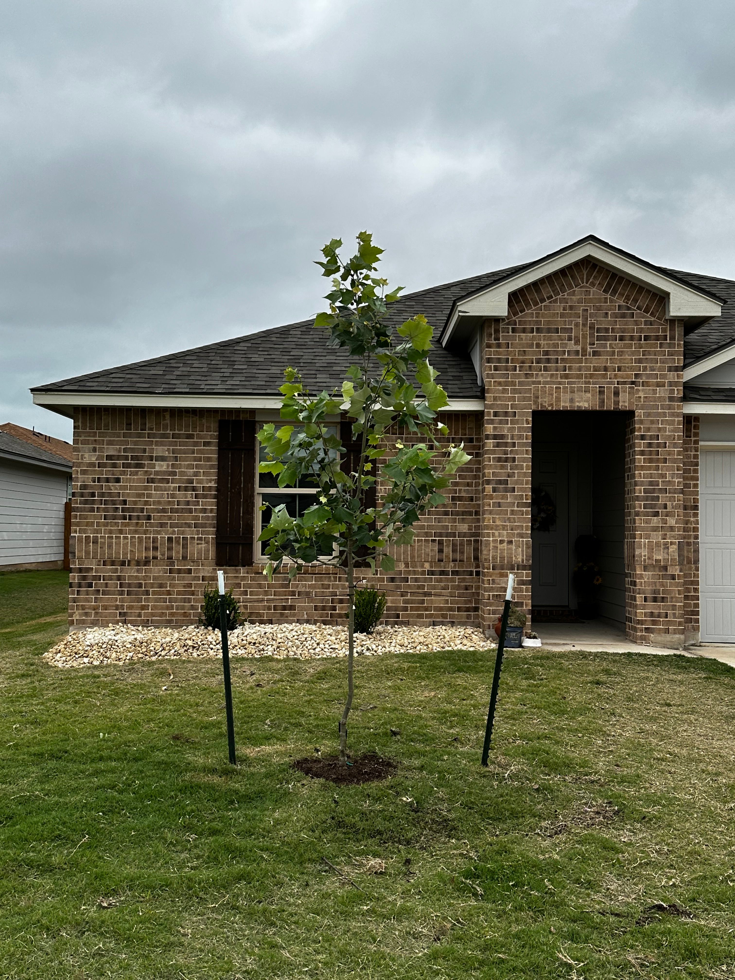  for Scalpel Lawn Service in Temple, TX