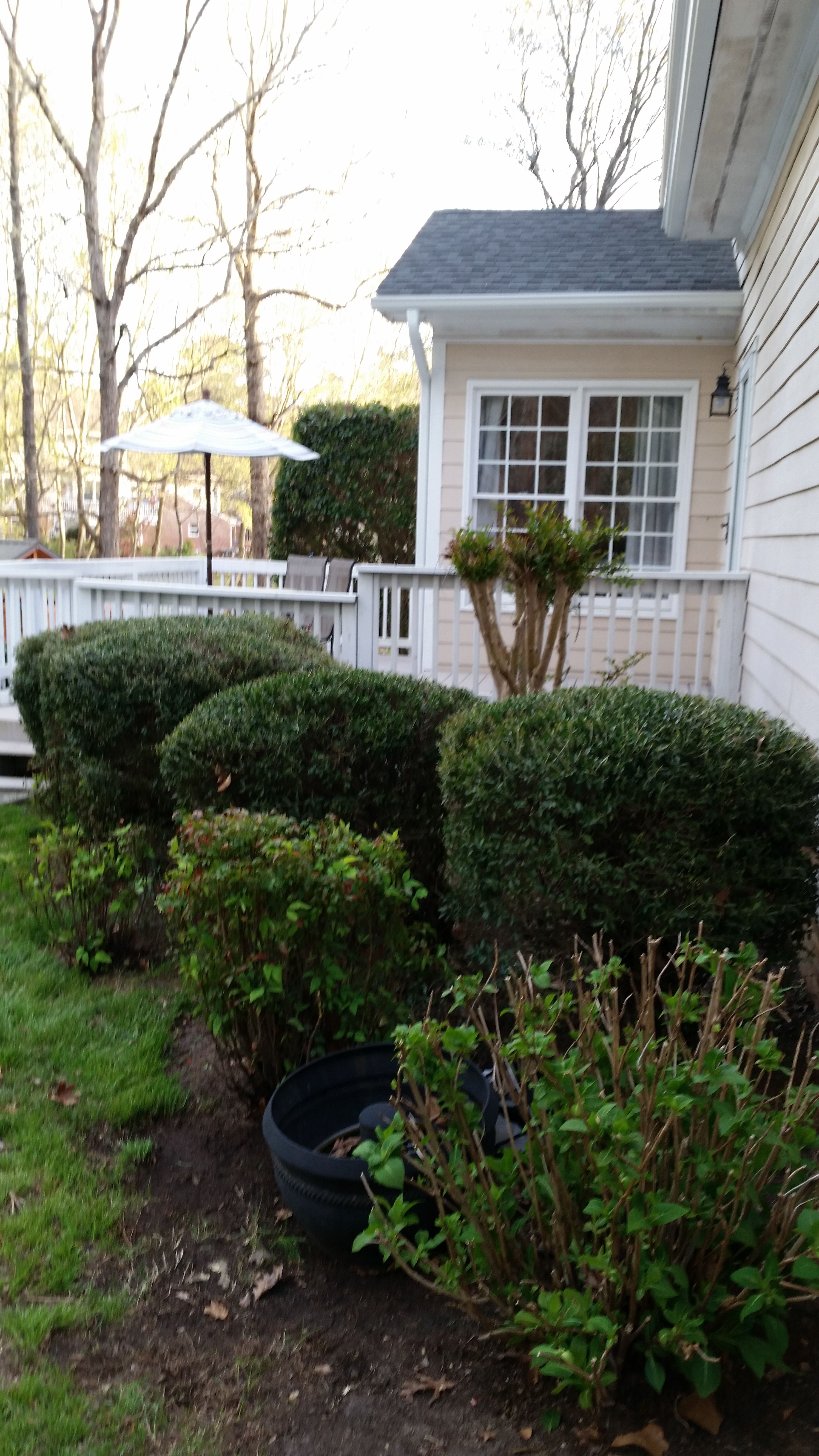  for Mancinas Home Improvement, Landscaping, & Lawn Care in Fayetteville, NC