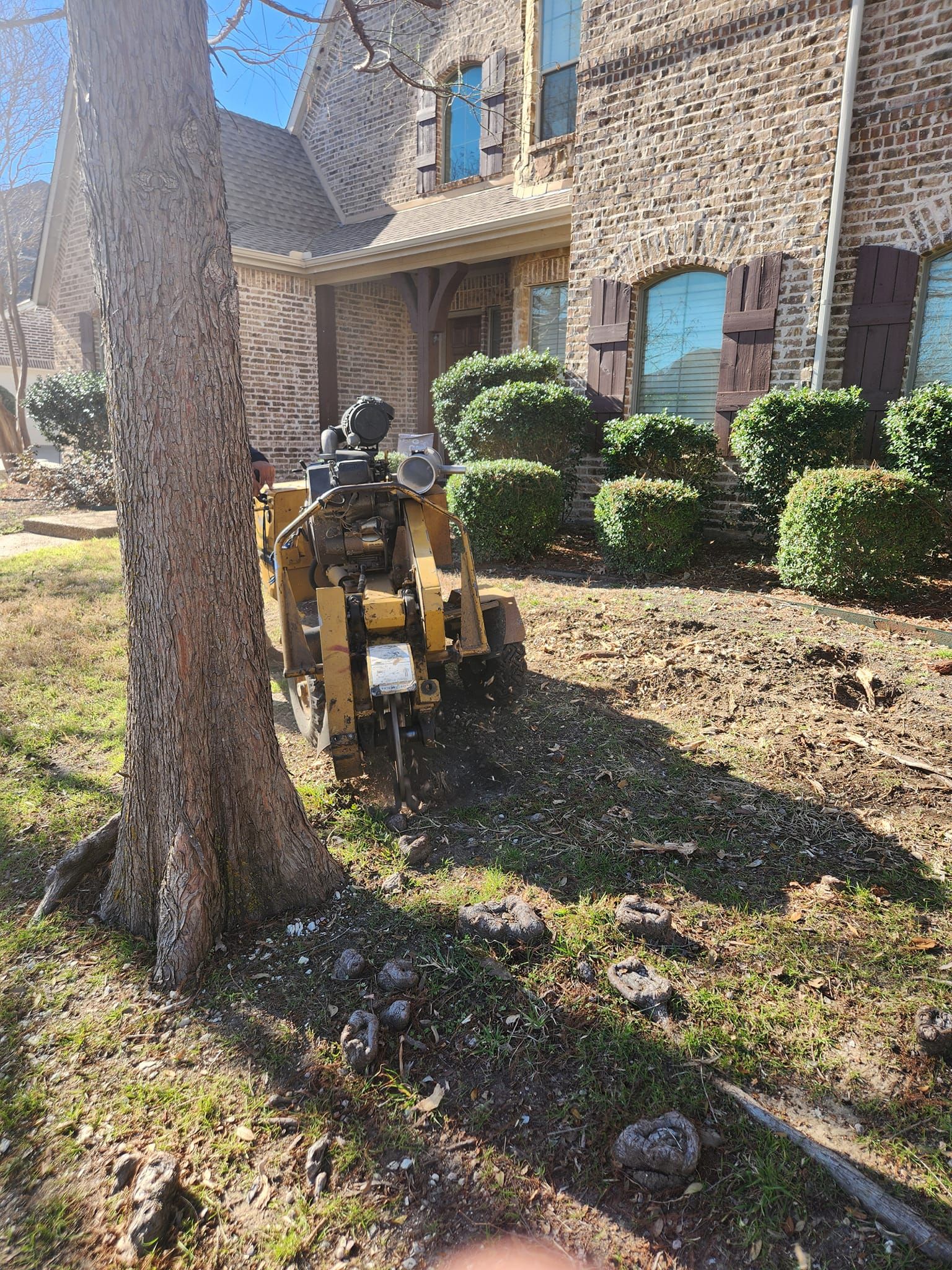  for Lavon Lawn Plus in Lavon, TX