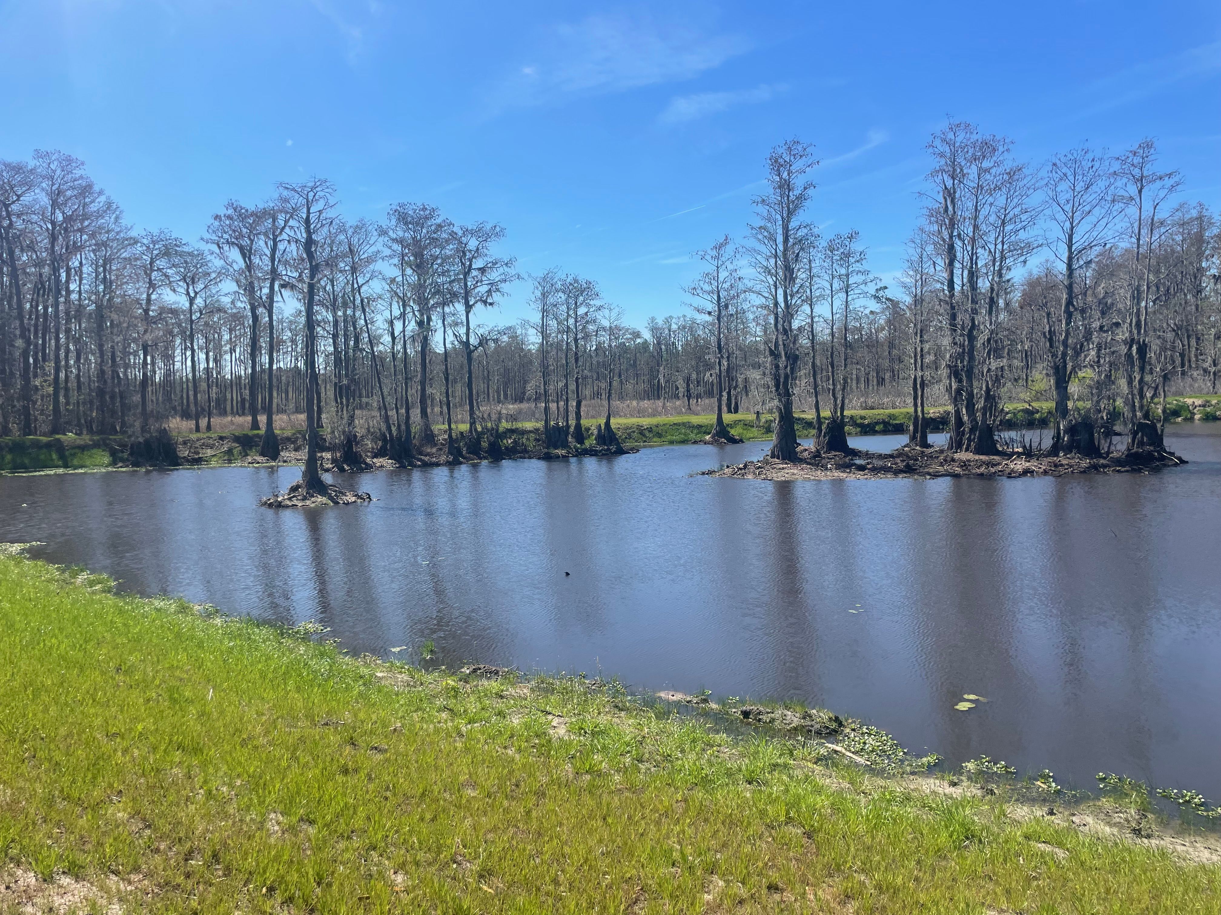 All Photos for Ewc Land Clearing and more in Lake Park, GA