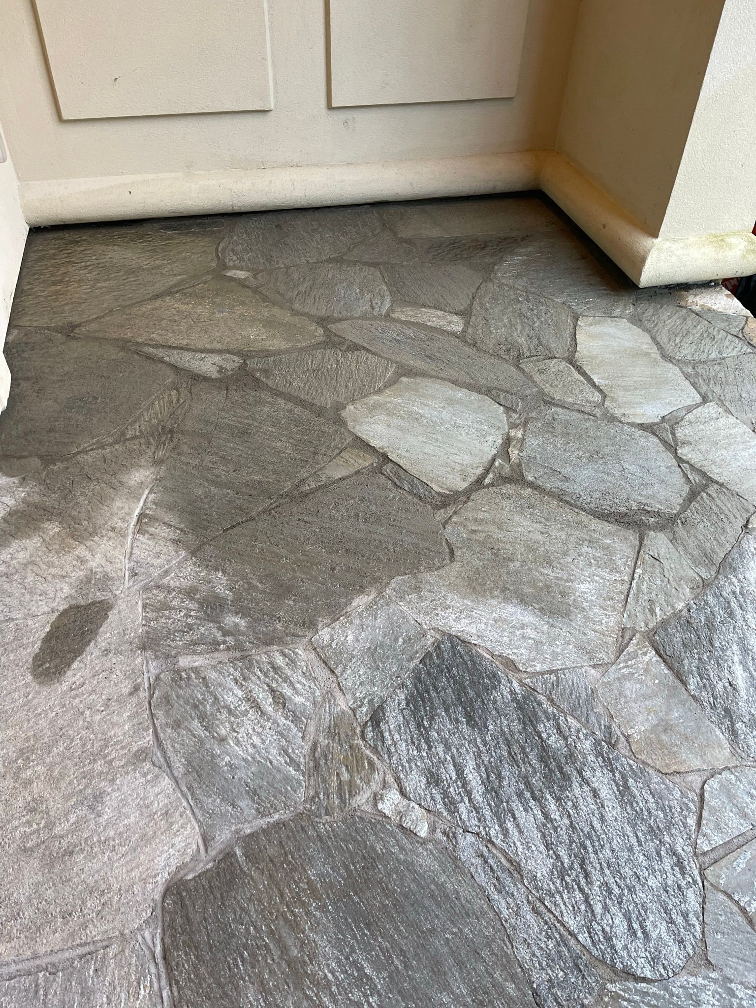  for Tony's Remodeling & Painting in Renton, WA