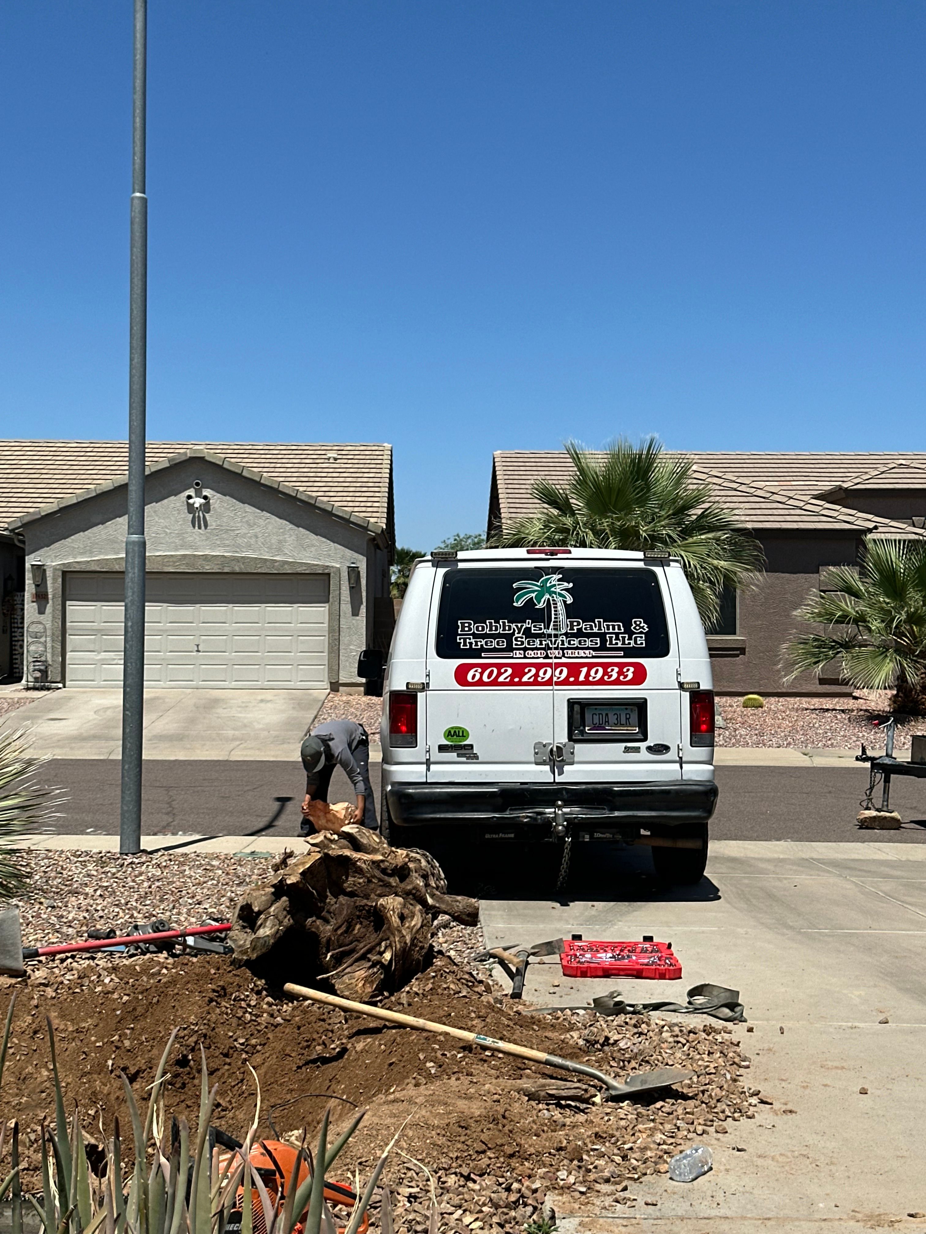  for Bobbys Palm and Tree Service LLC in Surprise, AZ