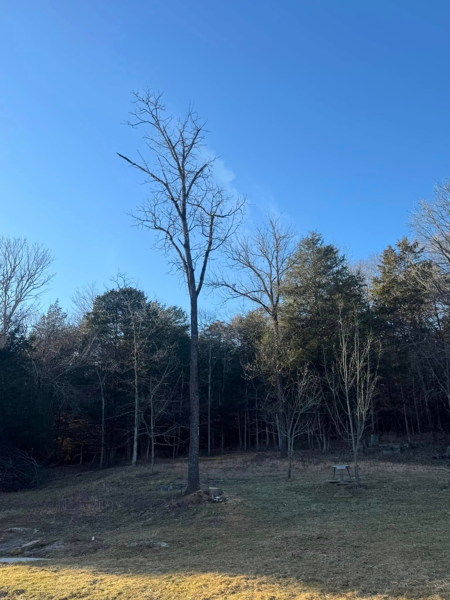  for Premier Outdoors and Land Management in Baxter, TN