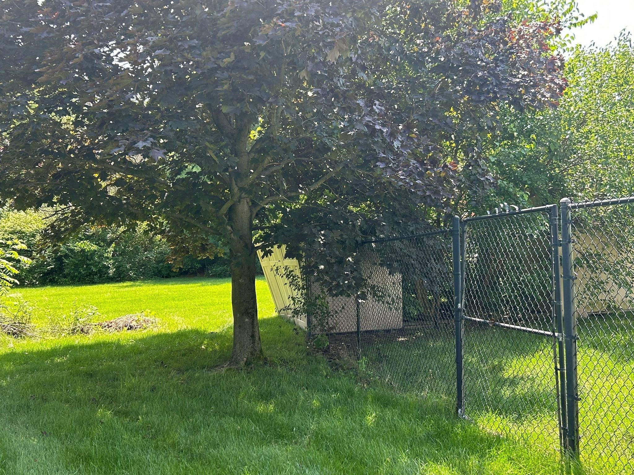  for Bearforce Lawn Care LLC in Greenfield, IN