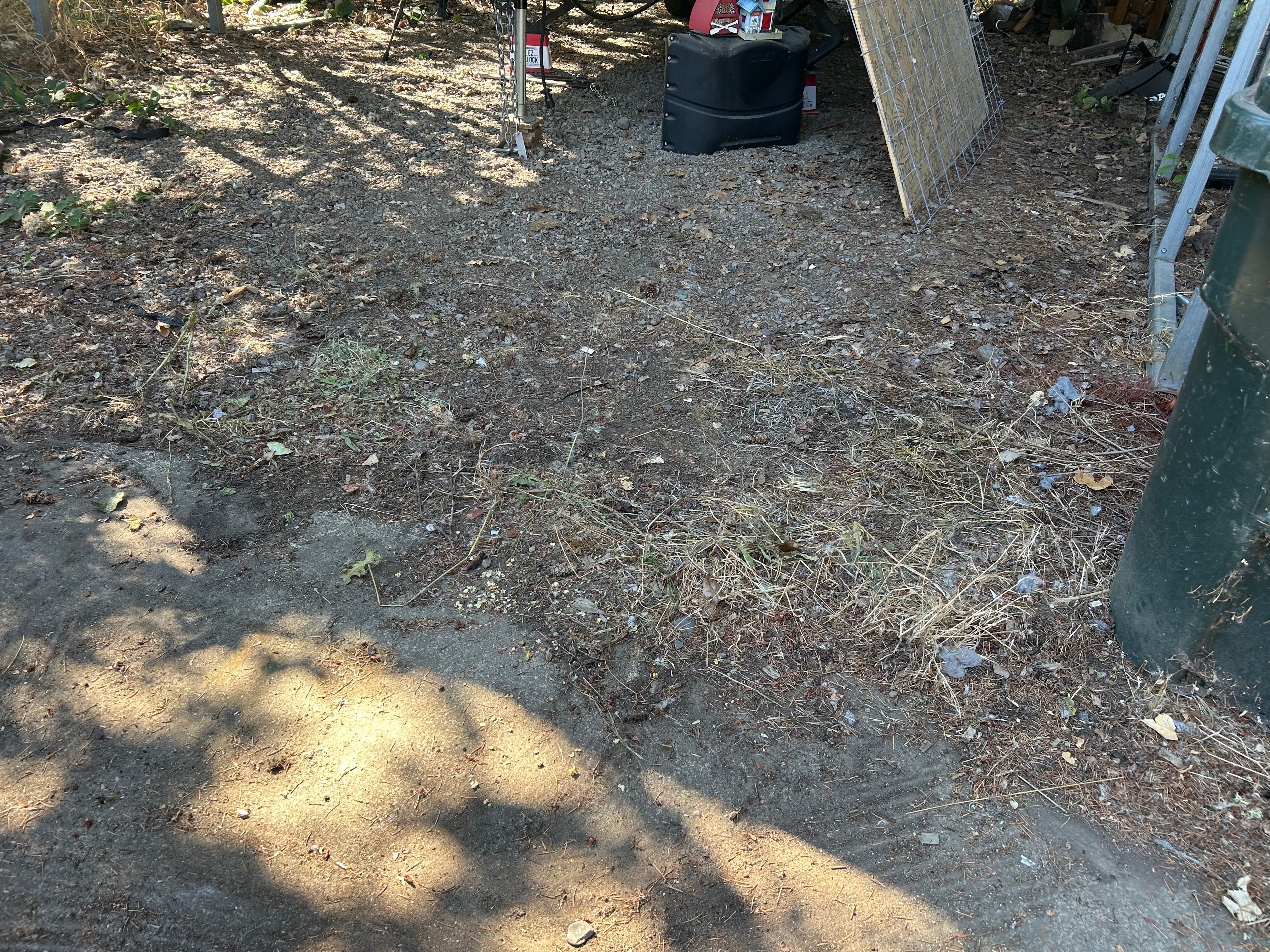  for Sol Junk Removal in Independence, OR