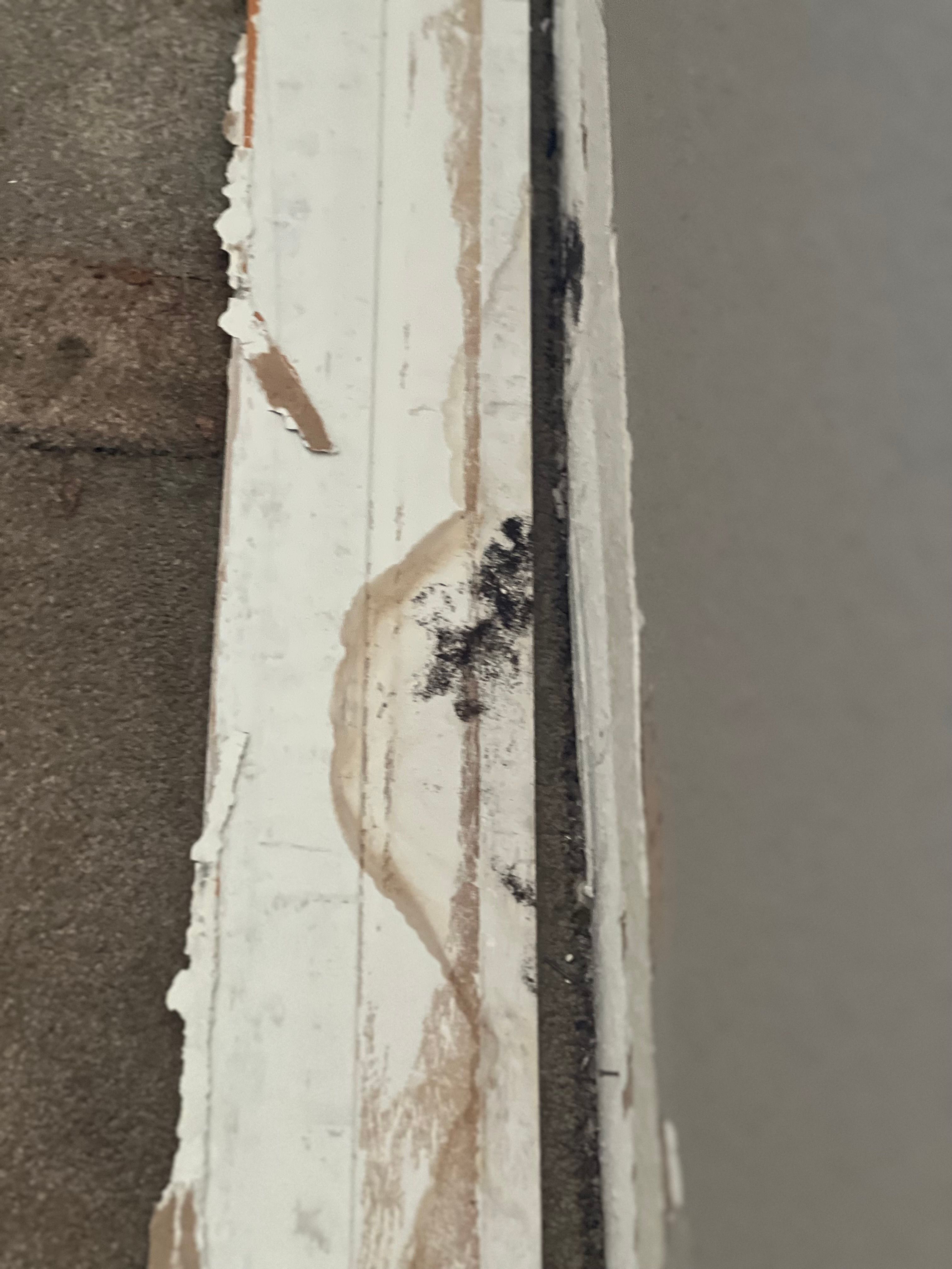  for N&D Restoration Services When Disaster Strikes, We Come In in Cape Coral,  FL