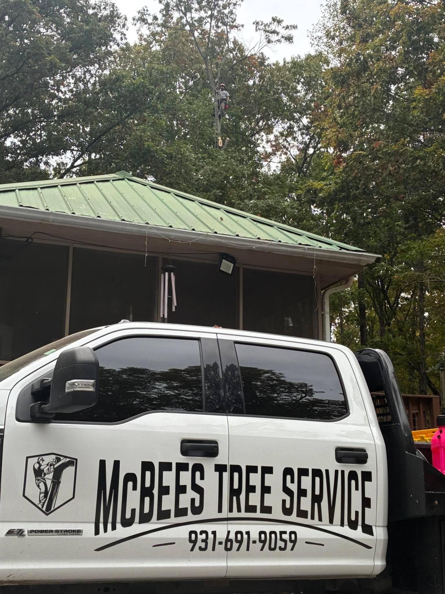  for McBee’s Tree Service in Sewanee, TN