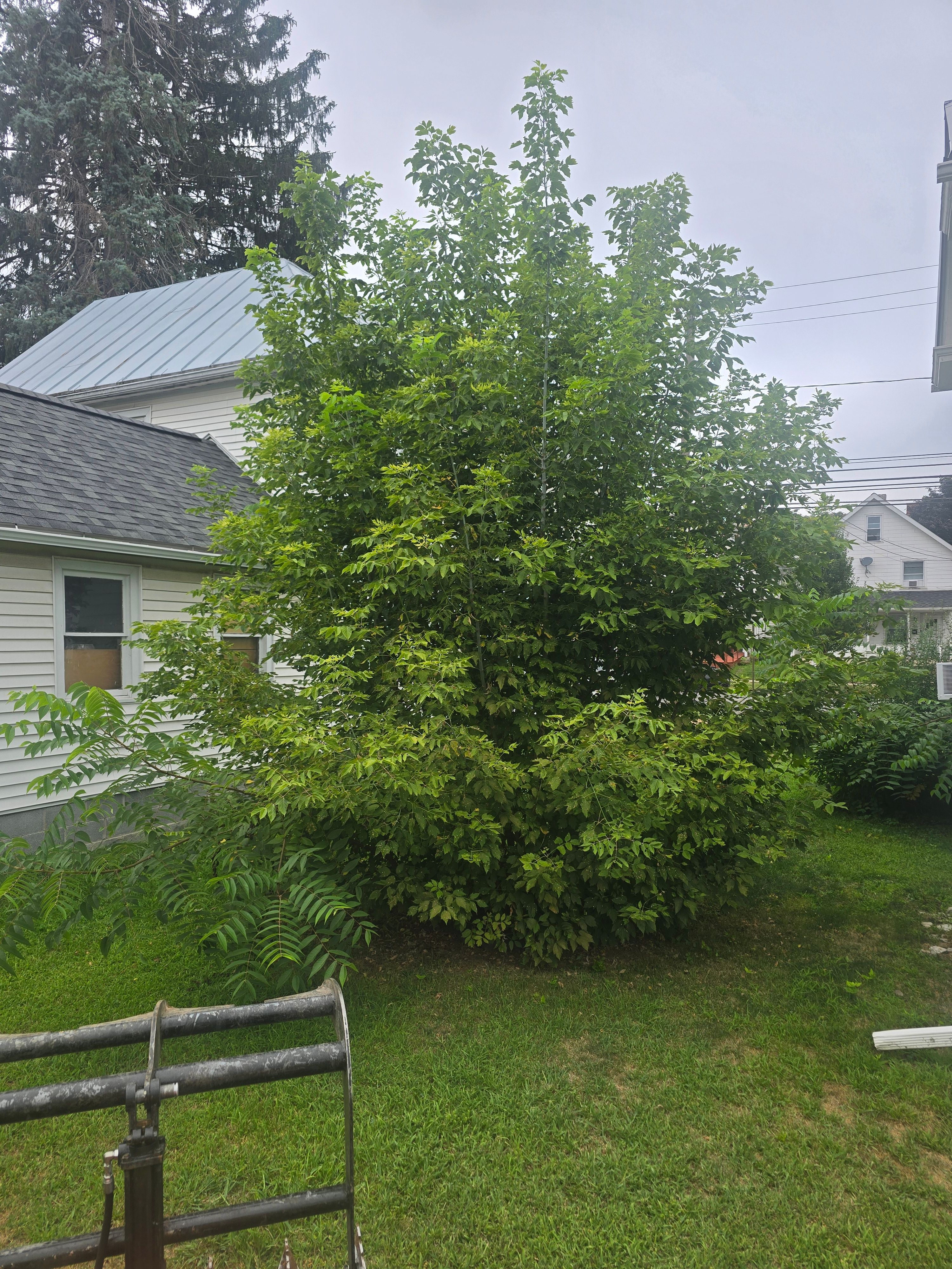  for Down Home Landscaping in Stillwater, PA