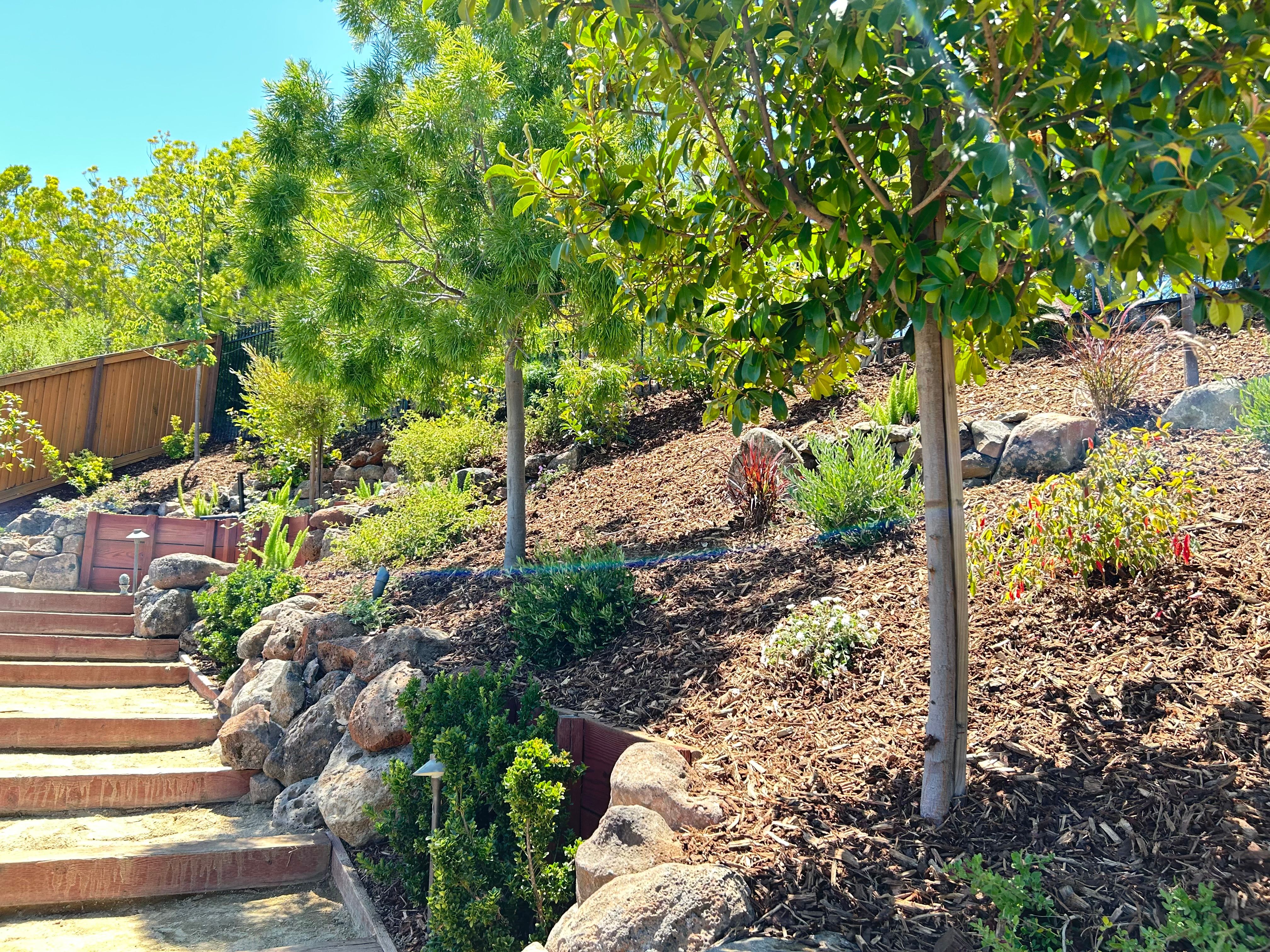 All Photos for LEBEC, Inc in Brentwood, CA