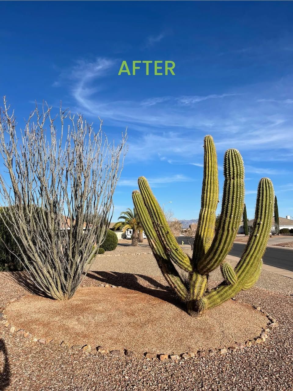 All Photos for A to Z Grounds Keeping in Sierra Vista, AZ