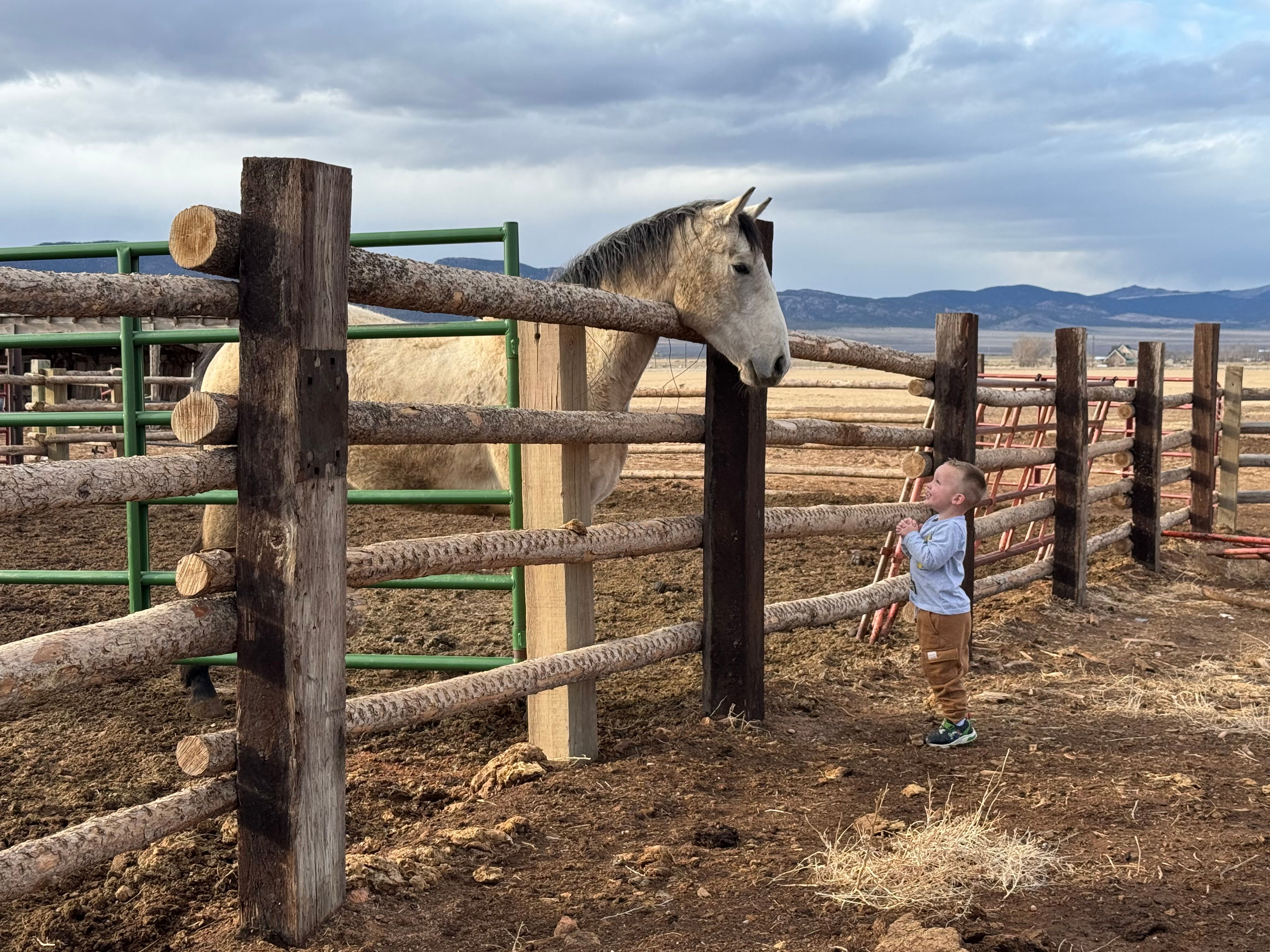 Fences for Burton Fencing in Parowan, UT
