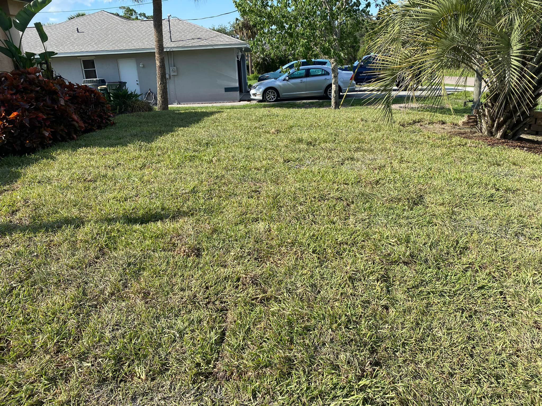 Sodding for Sunshine Sod & More Inc. in Arcadia, FL