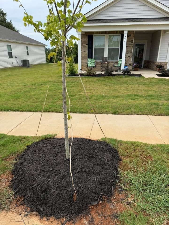  for Down South Tree Care and Landscaping in Maiden, NC